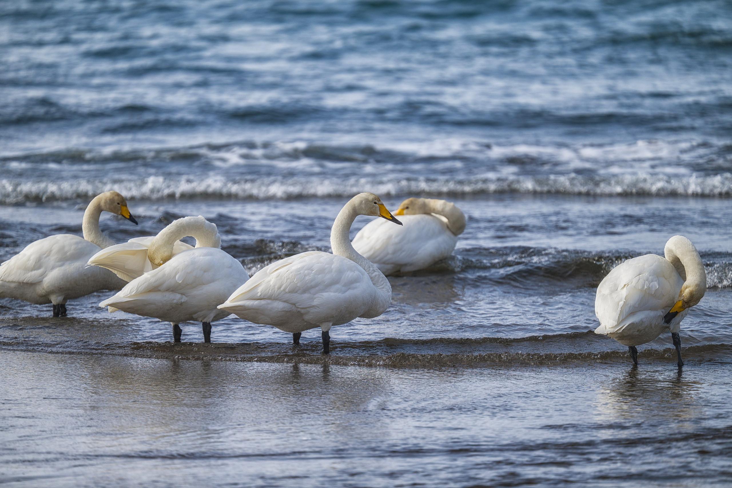 Курильские острова. Портретный фотограф в Челябинске Катерина Руди