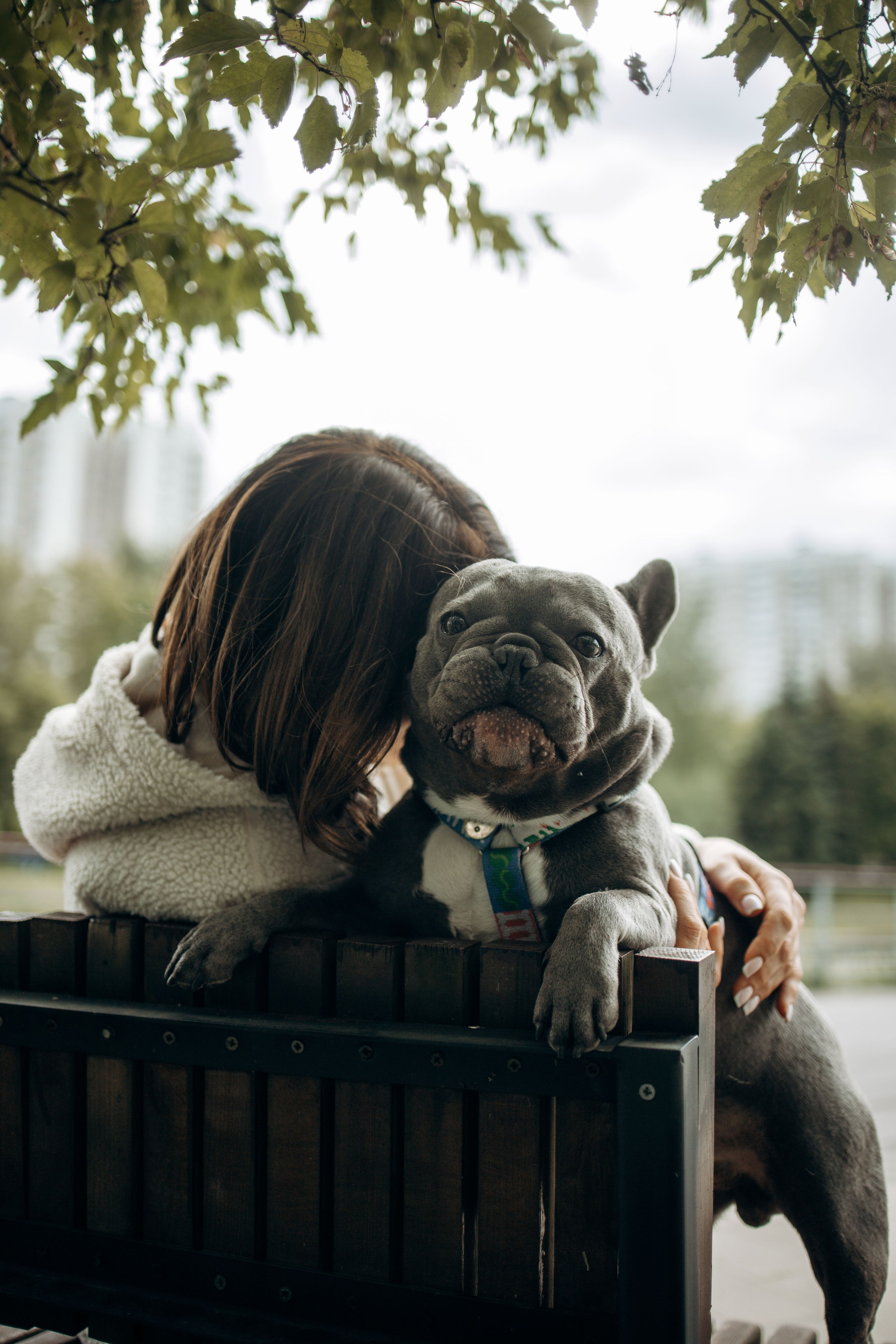 Грей и его семья