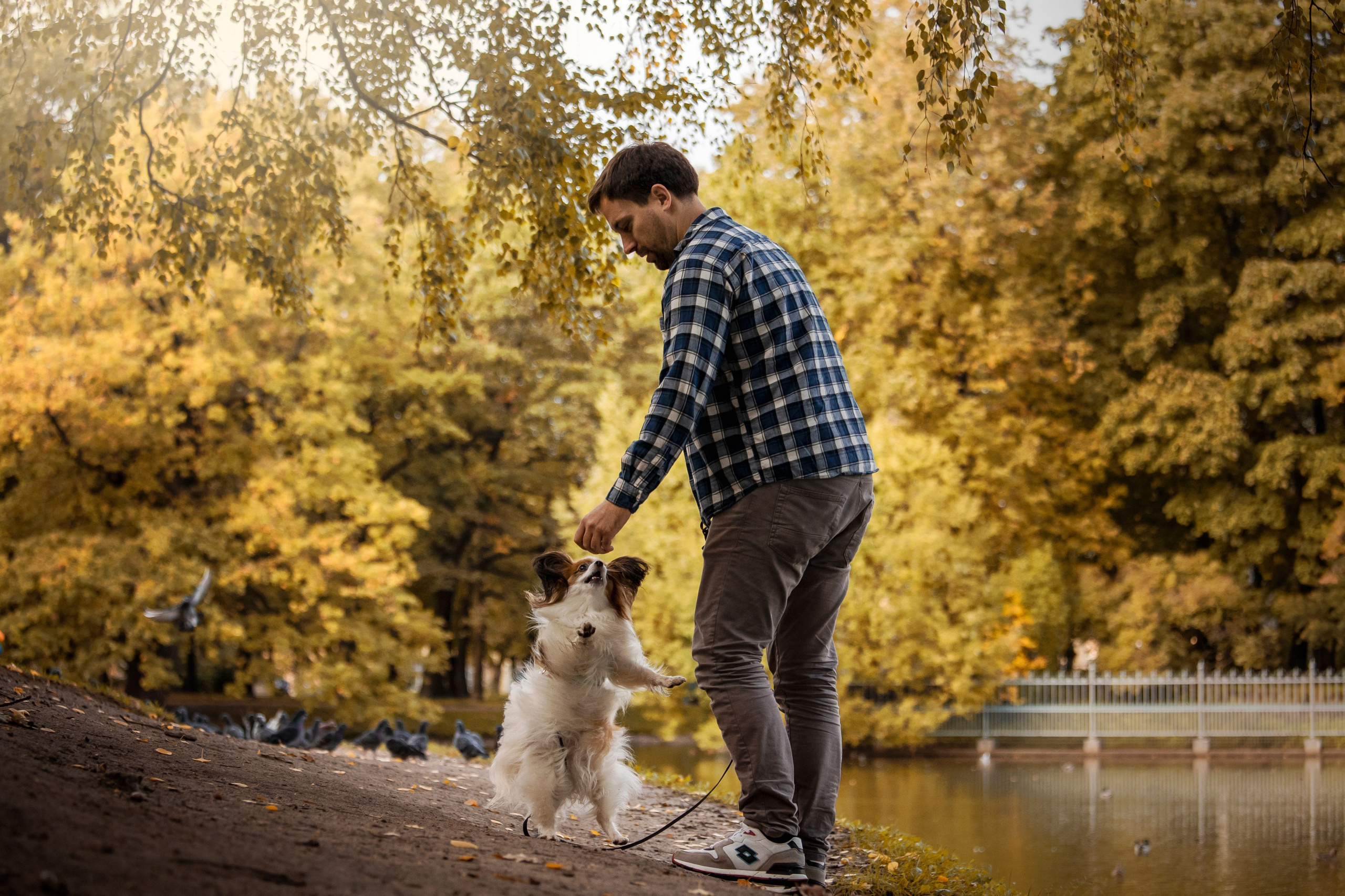 Ваня и его семья. Фотограф — Анималист | Санкт-Петербург