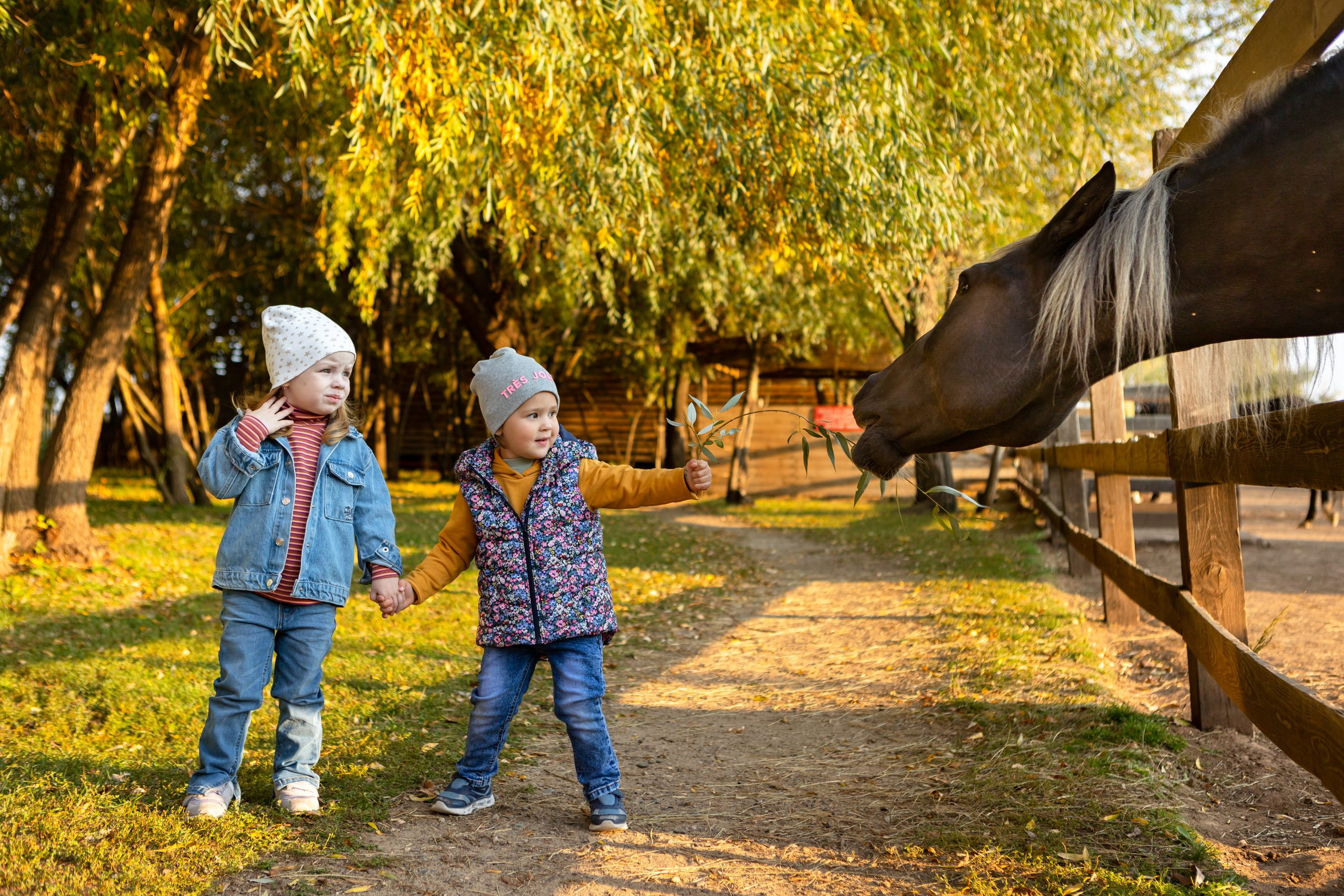 Фотосессия в конном клубе Воздух. Фотограф в Оренбурге. Профессиональный фотограф
