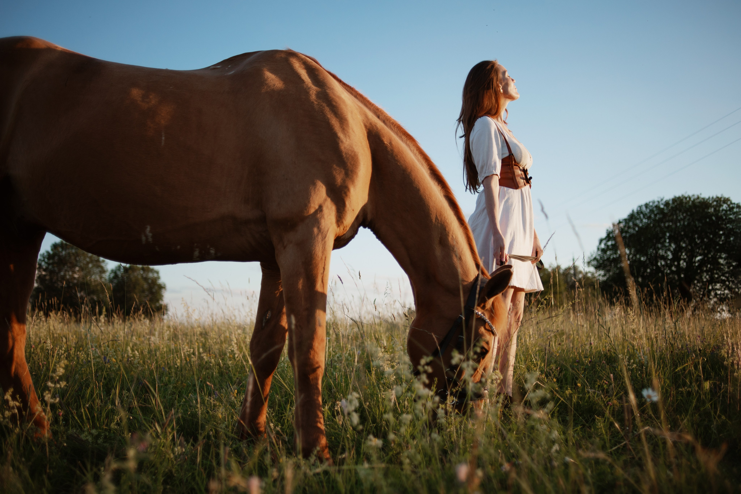 Ранчо. Ваш семейный фотограф