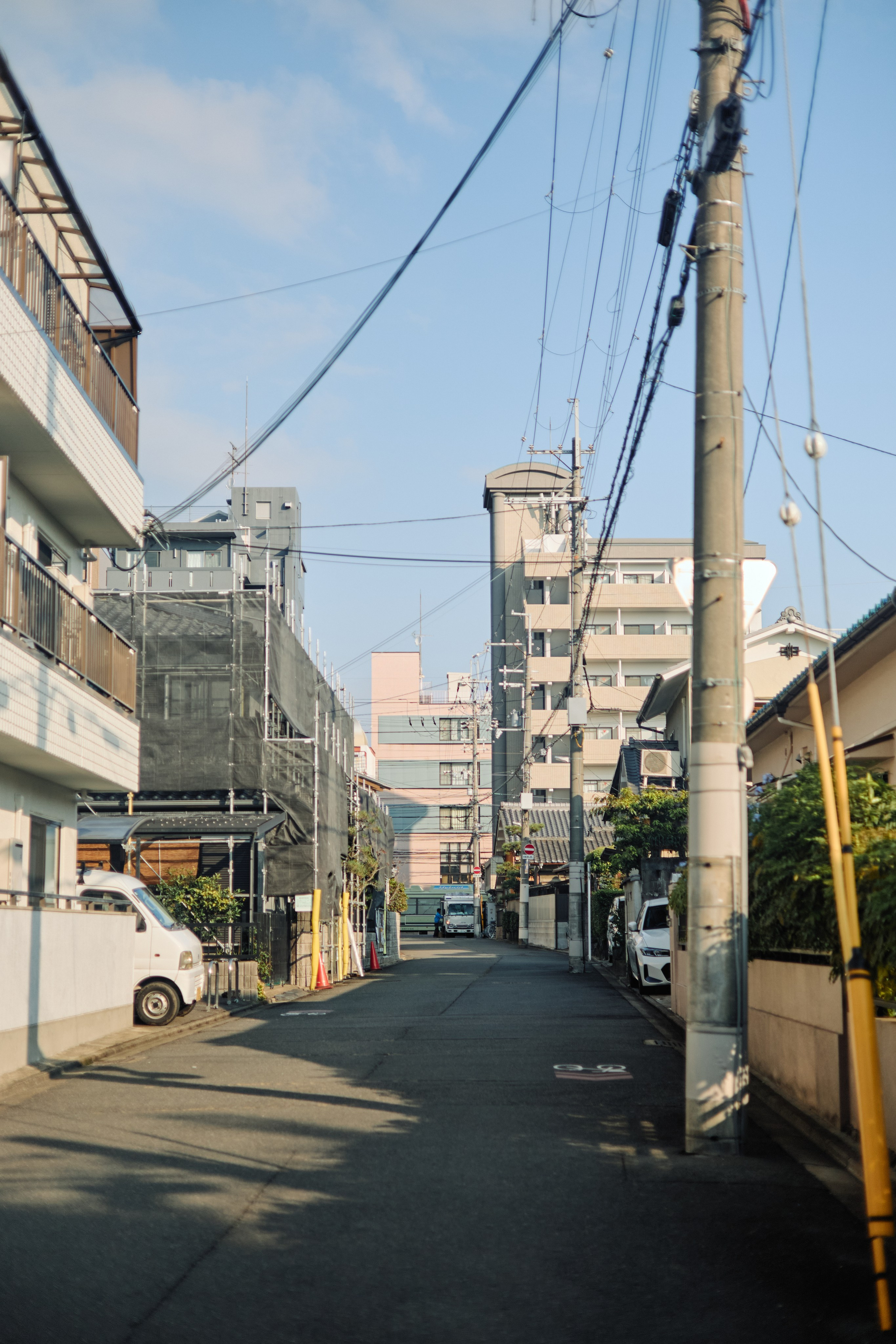 Япония. Профессиональный Фотограф во Владимире, в Москве и в Суздале — Полина Романычева