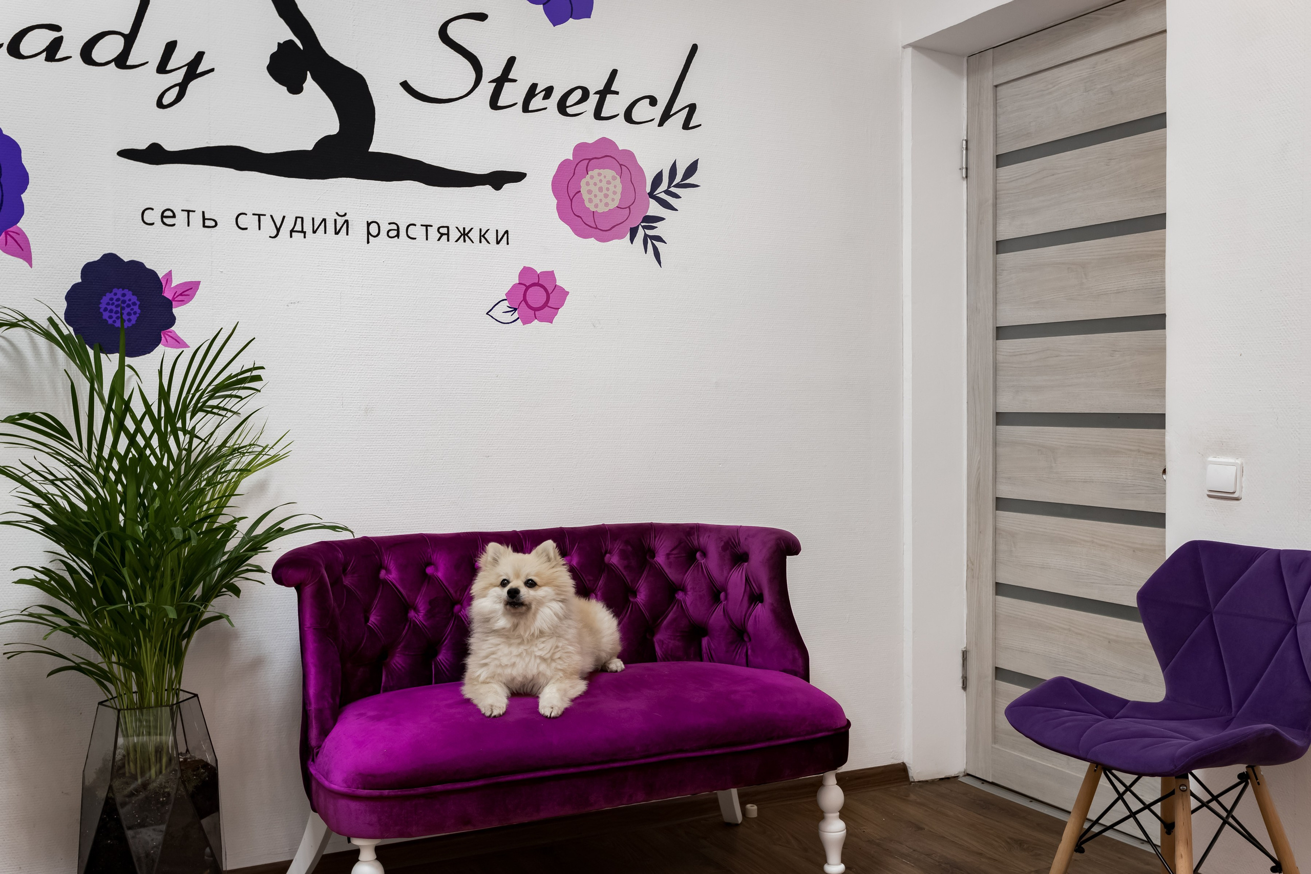 Студия растяжки Lady Stretch. Интерьеры, Контент, Портреты | Фотограф в Москве Дани Терно
