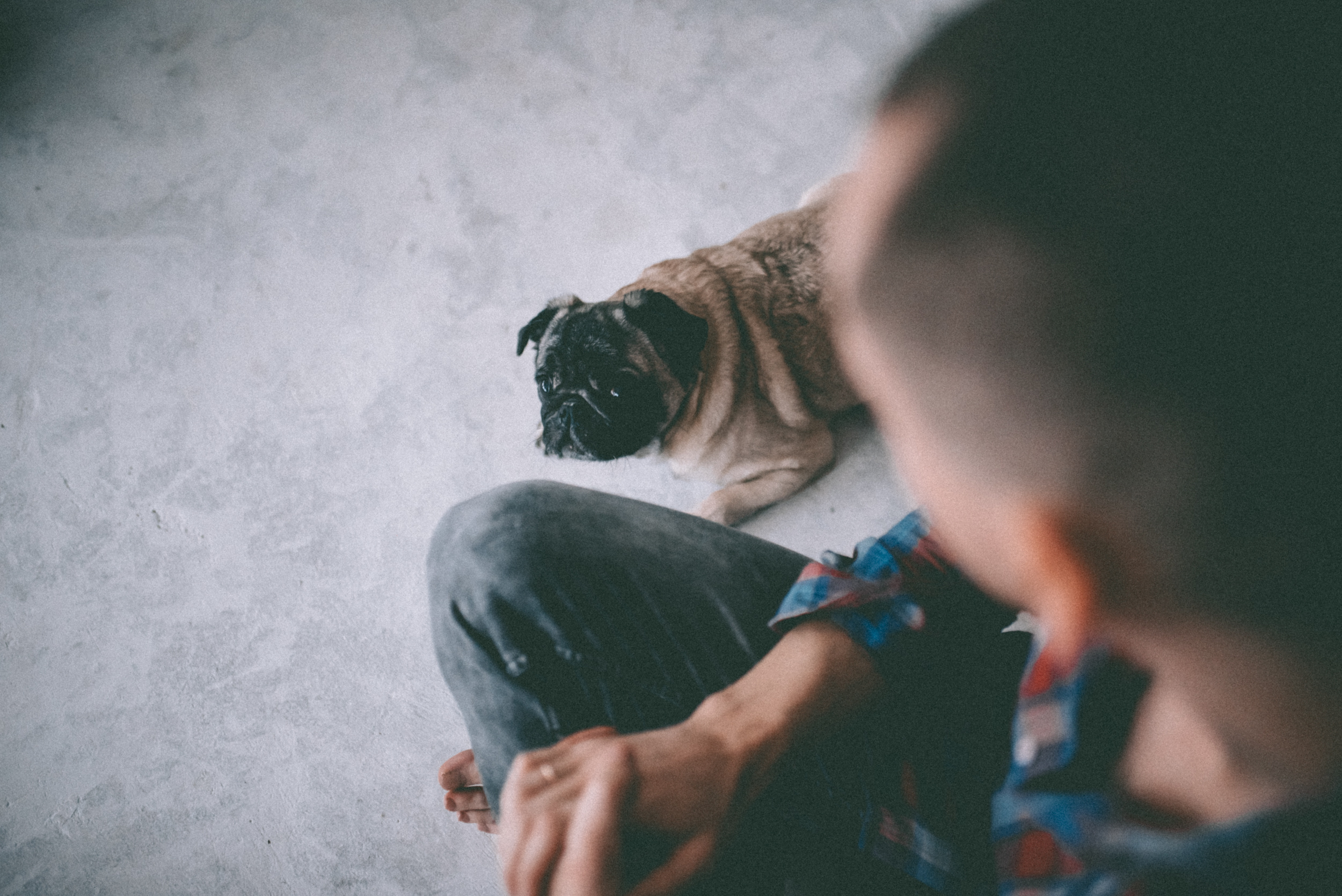 Кресс. Фотограф Игорь Гуменников Удмуртия Шаркан