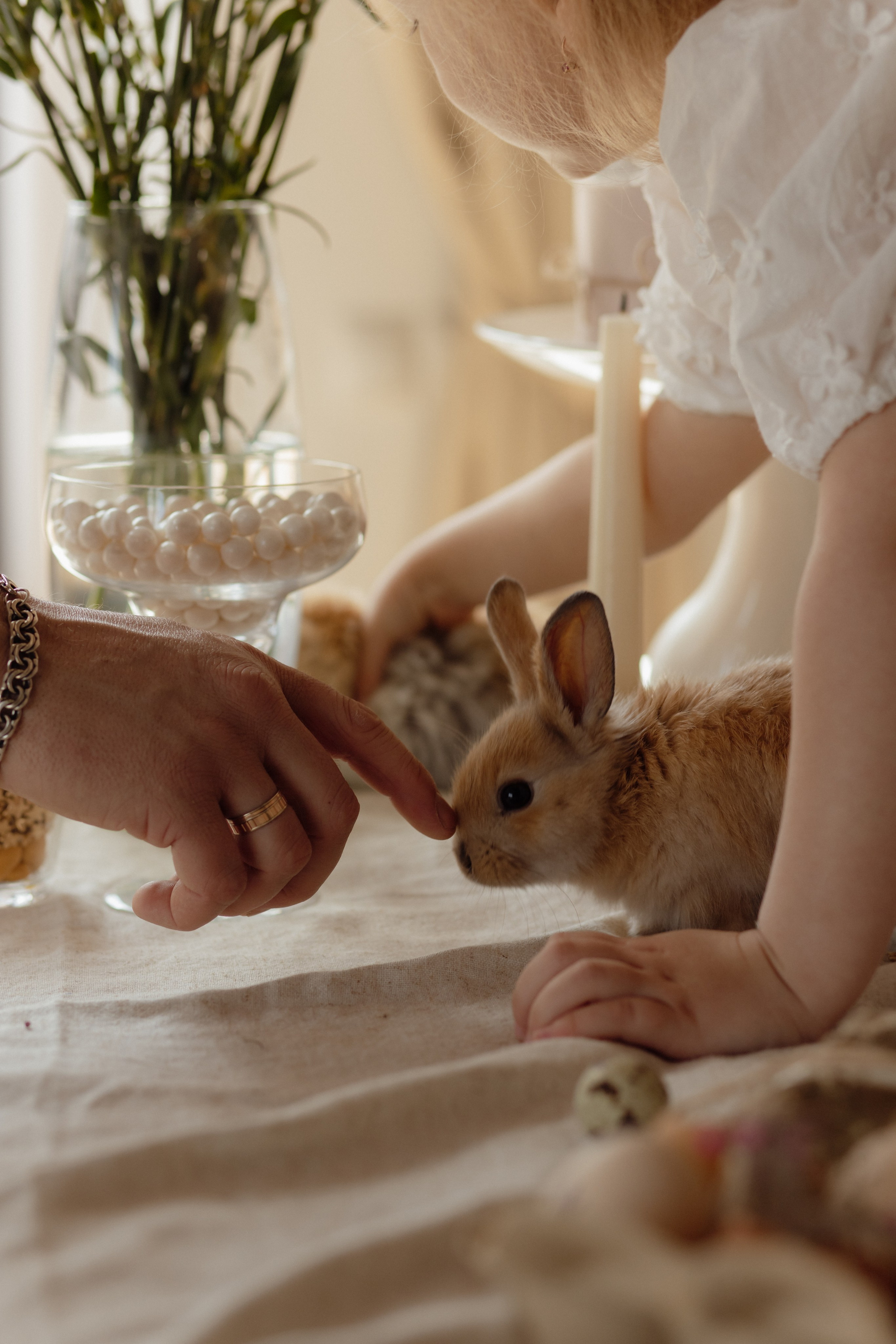 Варвара. Семейный и свадебный фотограф в Челябинске Мария Леонтьева