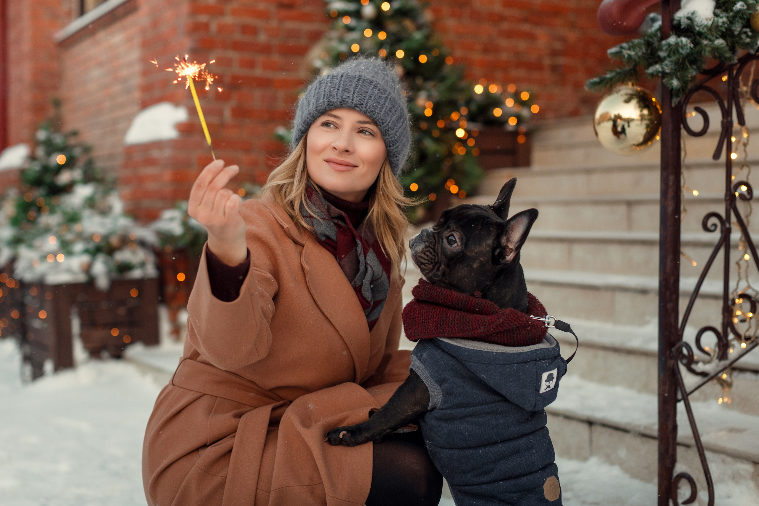 Фотосессии с вашими любимцами. Фотограф Артемьева Катерина|фотосессии с лошадьми