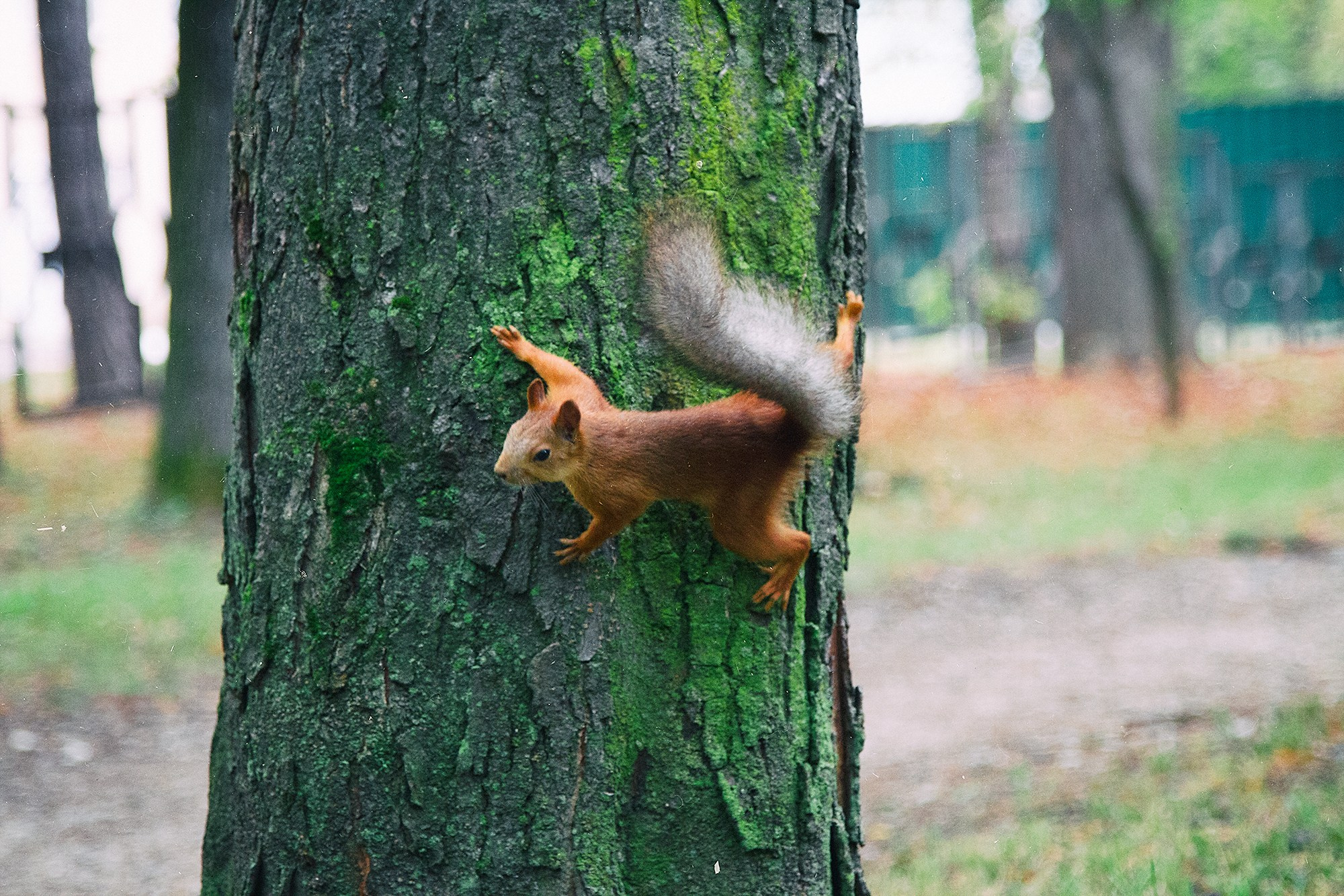 Фотограф Алексей Седойкин