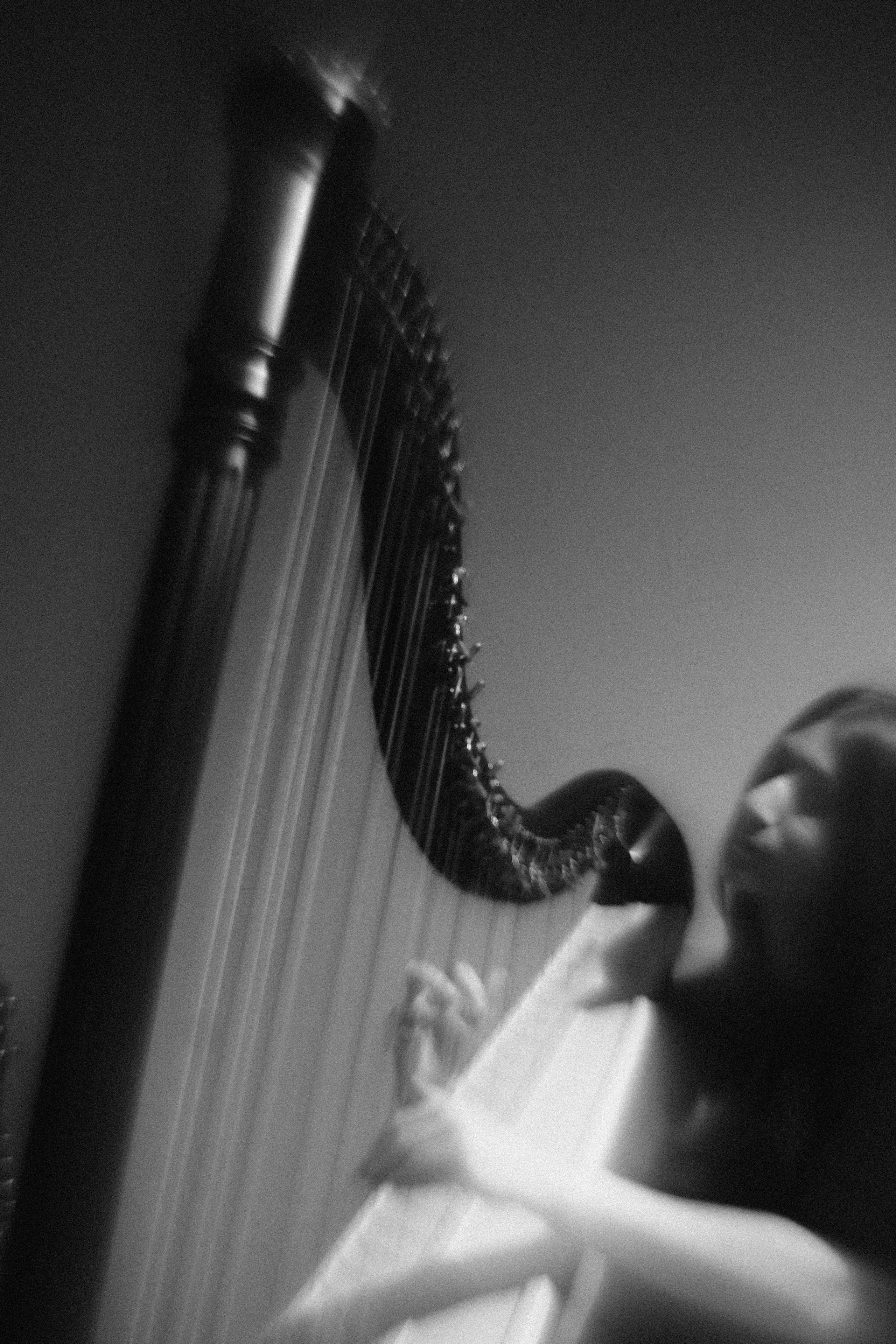 Арфовый дом. Veronika Popadeikina Photographer