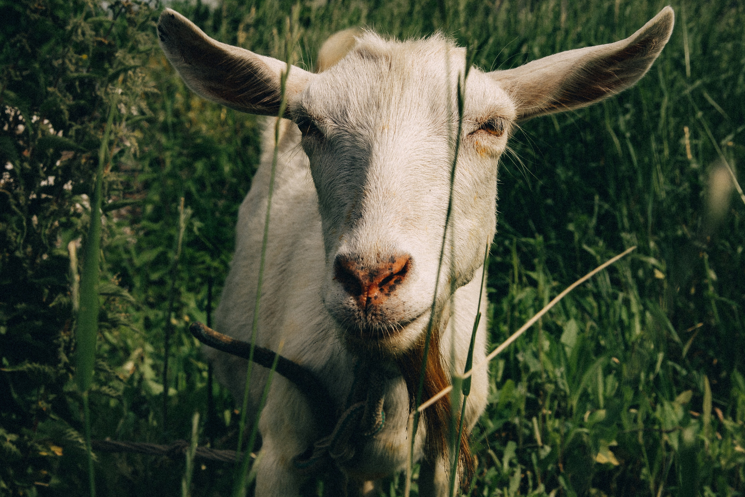 21.06.2023 Мастер-класс в «Музее Волжского района» Дубовый Умёт
