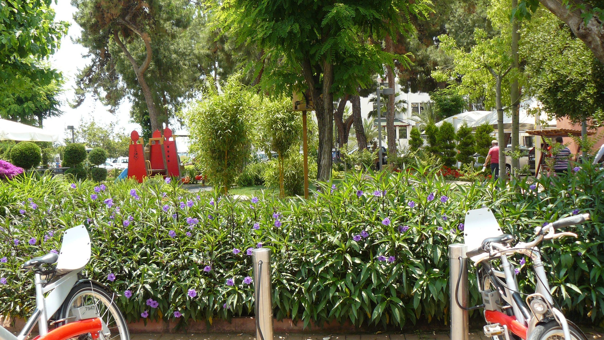 Алания 2015 отель, город. Фотопрогулки по Миру