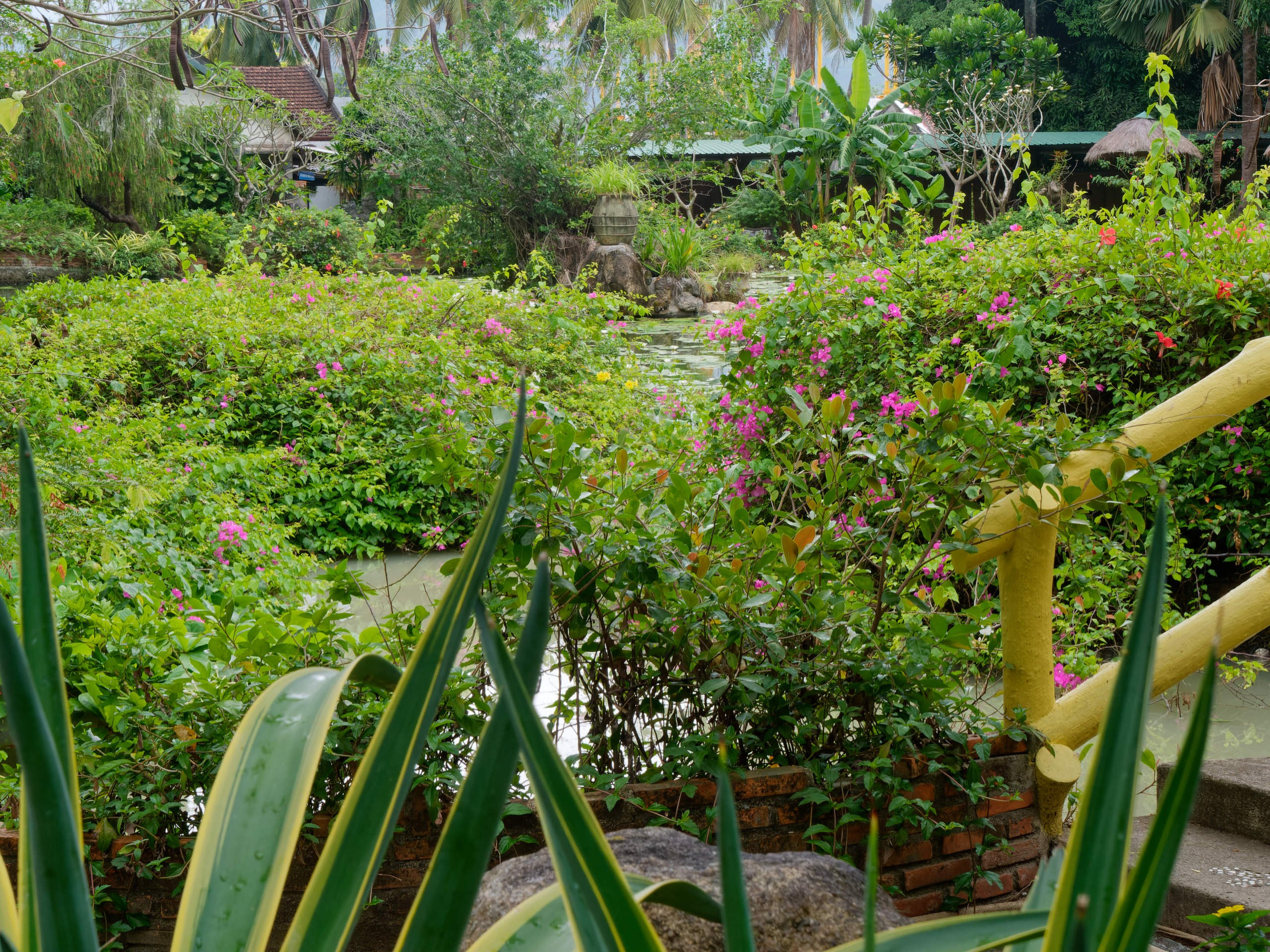 Нячанг 2025 (4). Избранные фотографии