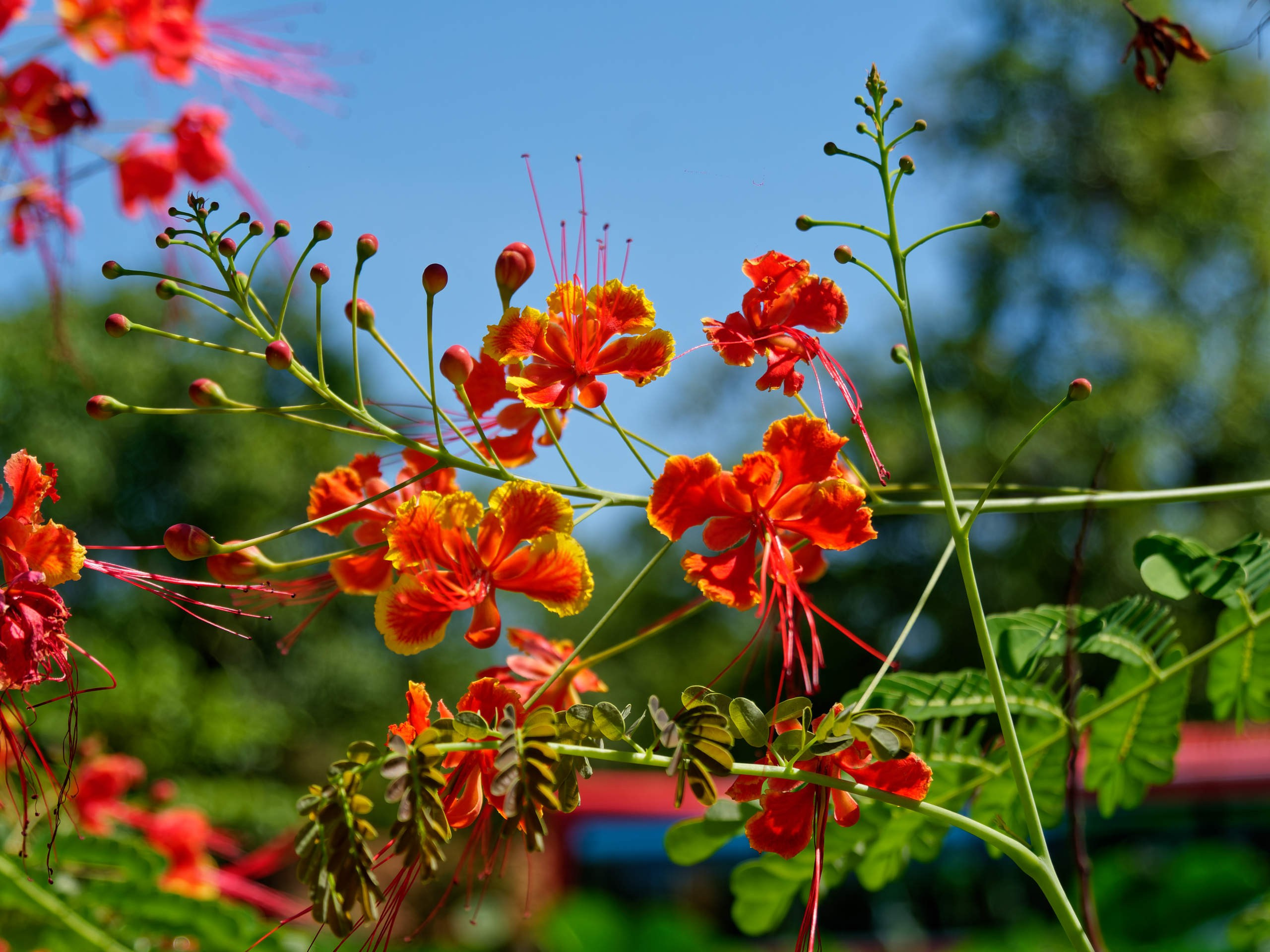 Нячанг 2023. Избранные фотографии