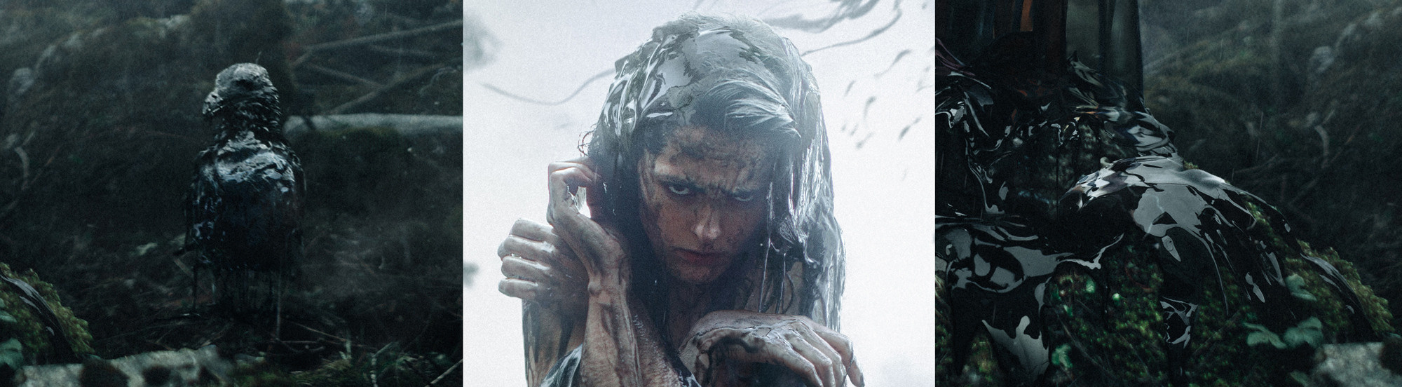 Творческие проекты. Обучение фотографии. Фотограф Дмитрий Рогожкин