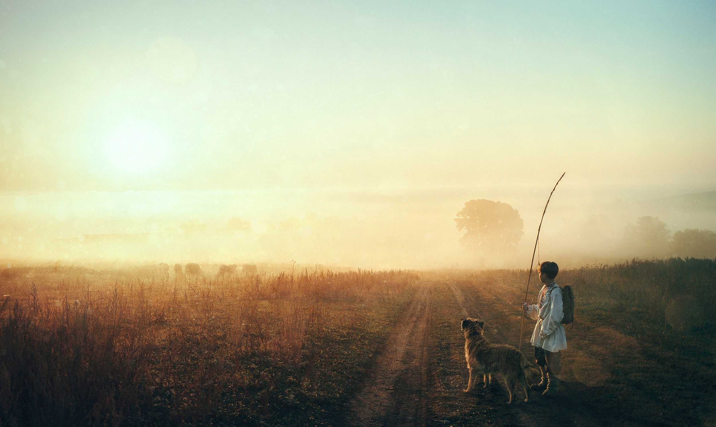 Портфолио. Обучение фотографии. Фотограф Дмитрий Рогожкин