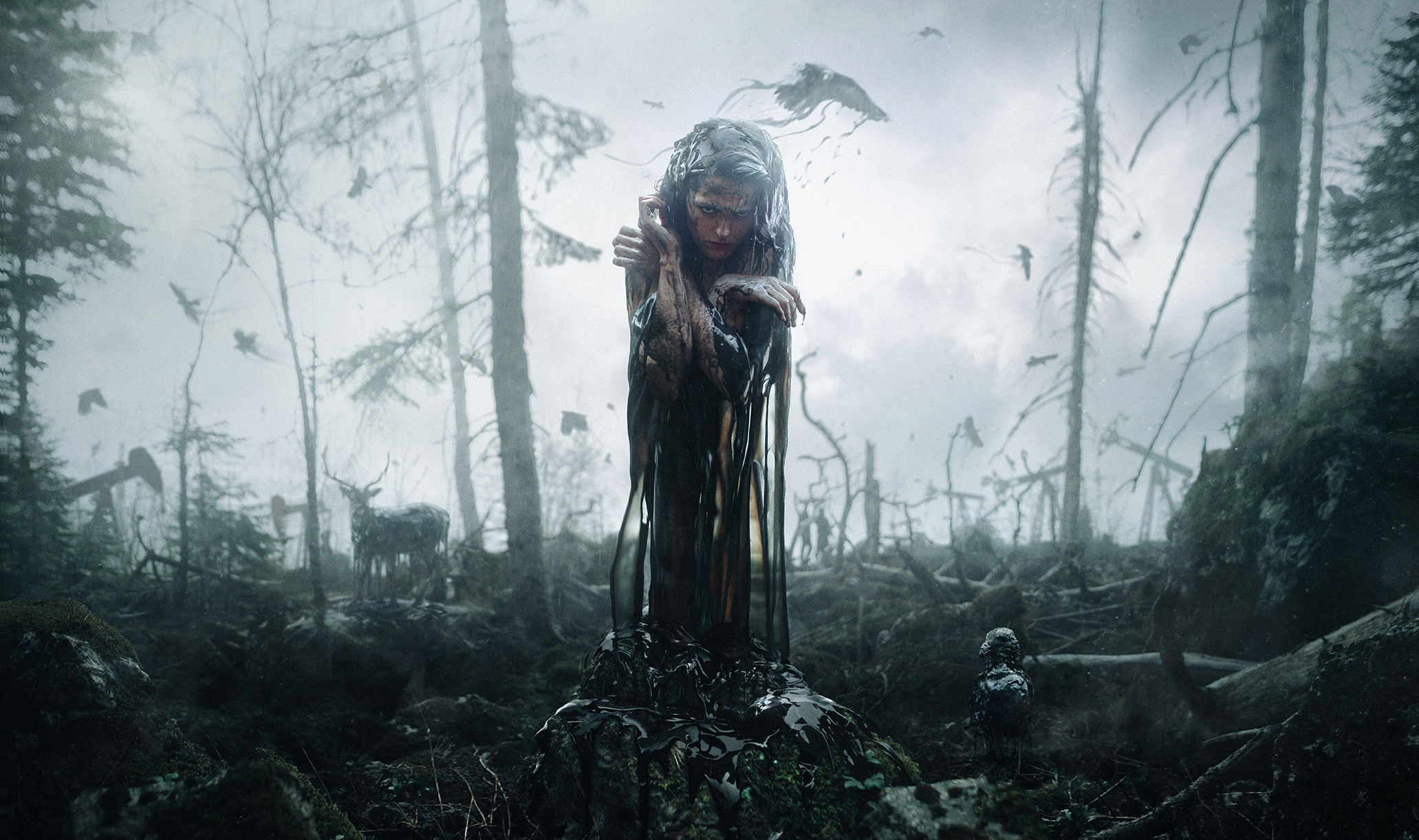 Творческие проекты. Обучение фотографии. Фотограф Дмитрий Рогожкин