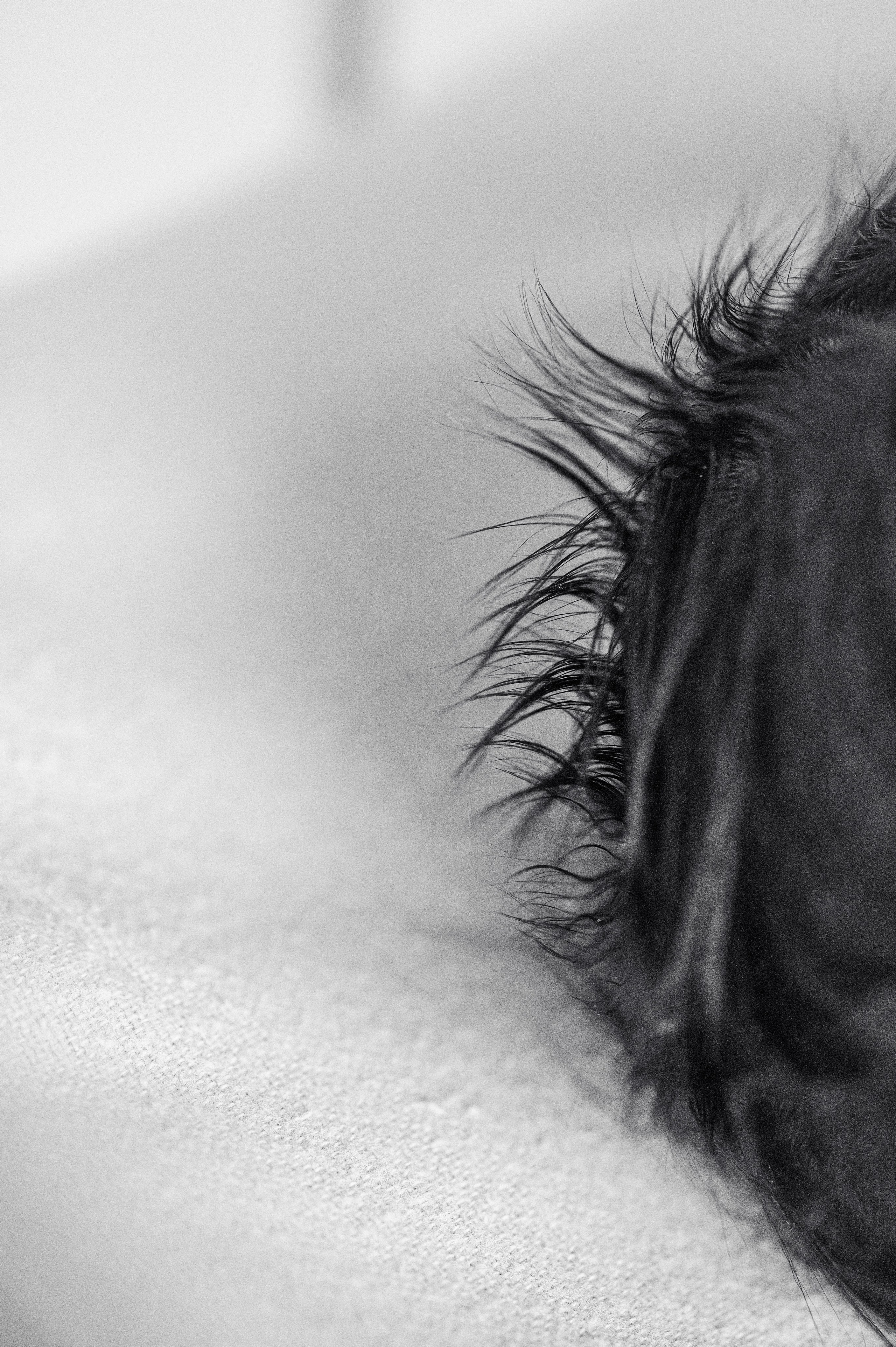 Роды в МД Лахта. Фотограф на роды СПБ Юлия Герасимова