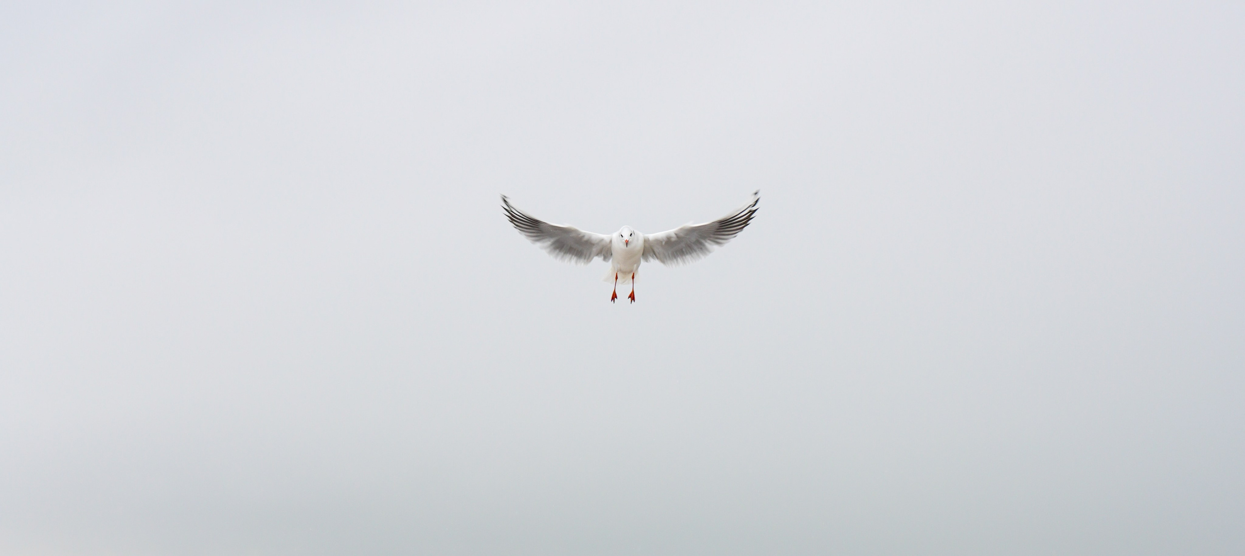 Arseniy Karchevskiy I Photographer