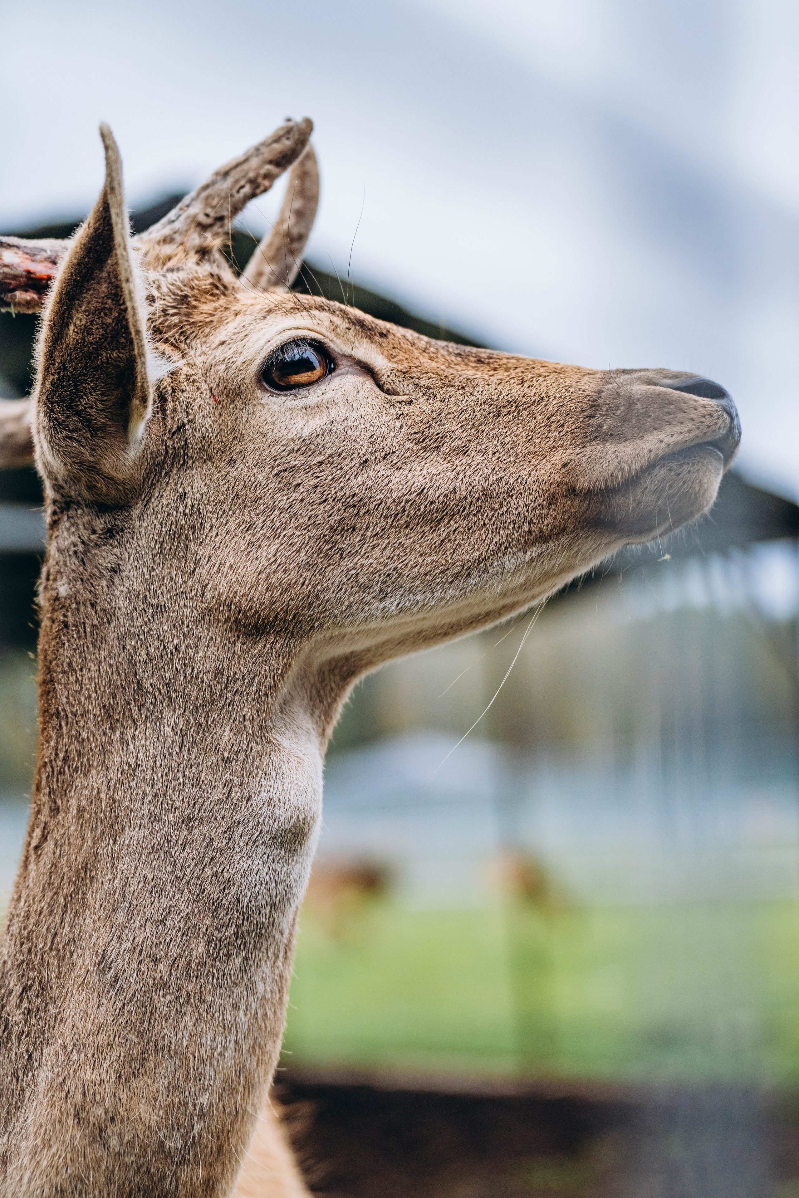 СЕВЕР. Event фотограф Степанова Александра