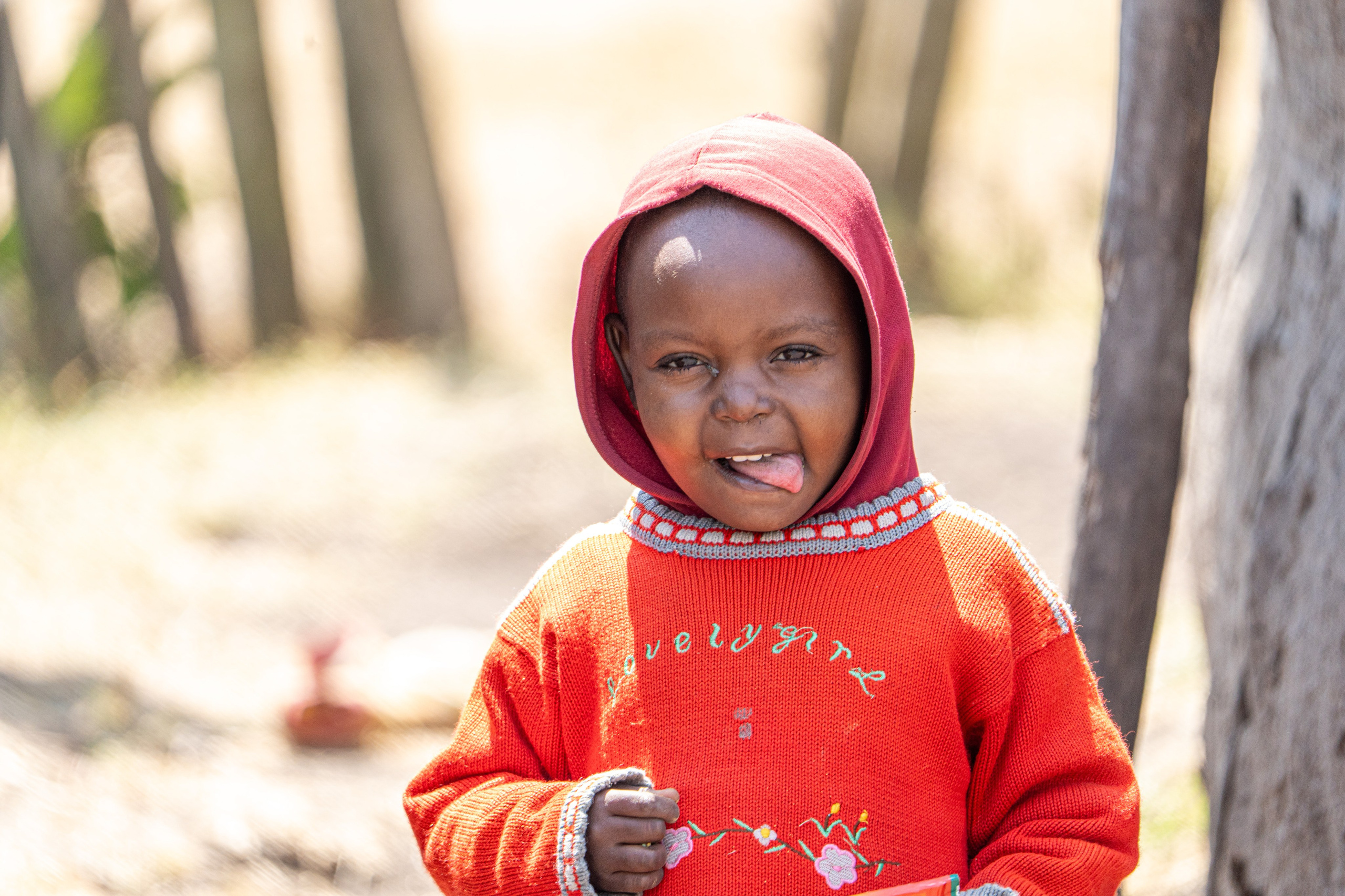 Танзания, сафари, 2025. Творческие сьемки