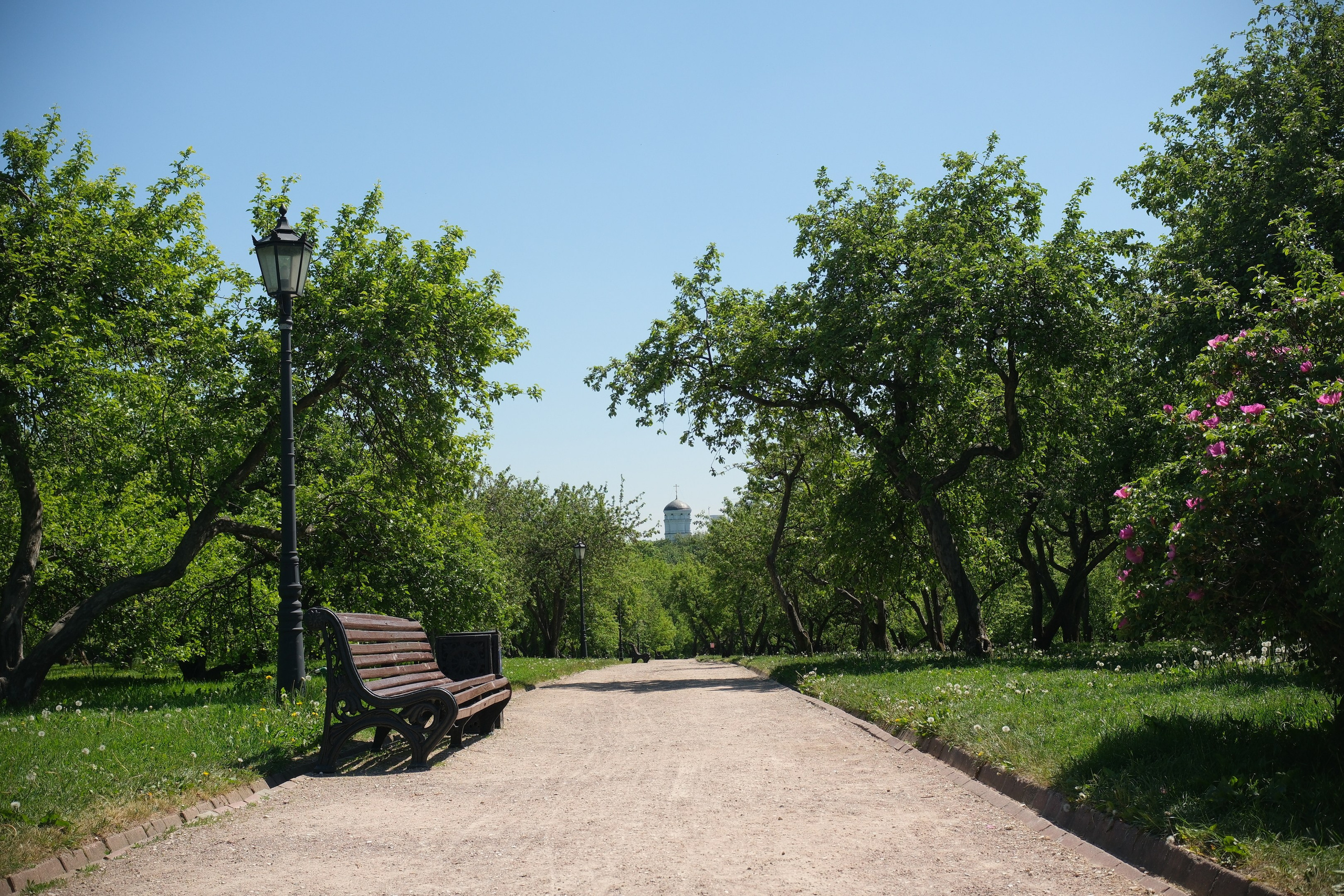 Коломенское 2024. Улица, люди, жизнь…