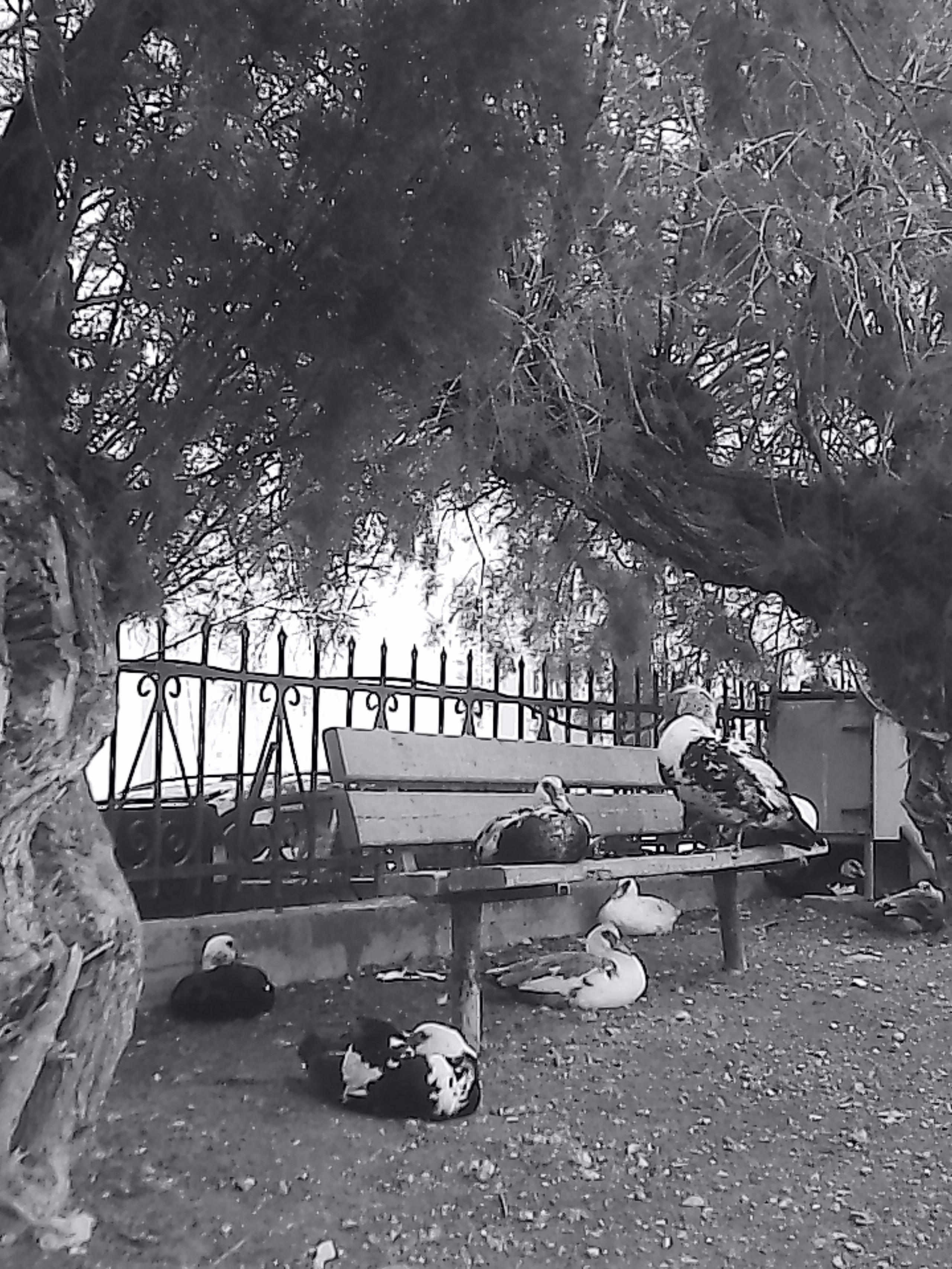 «Крошка 🐣». Anita_photo