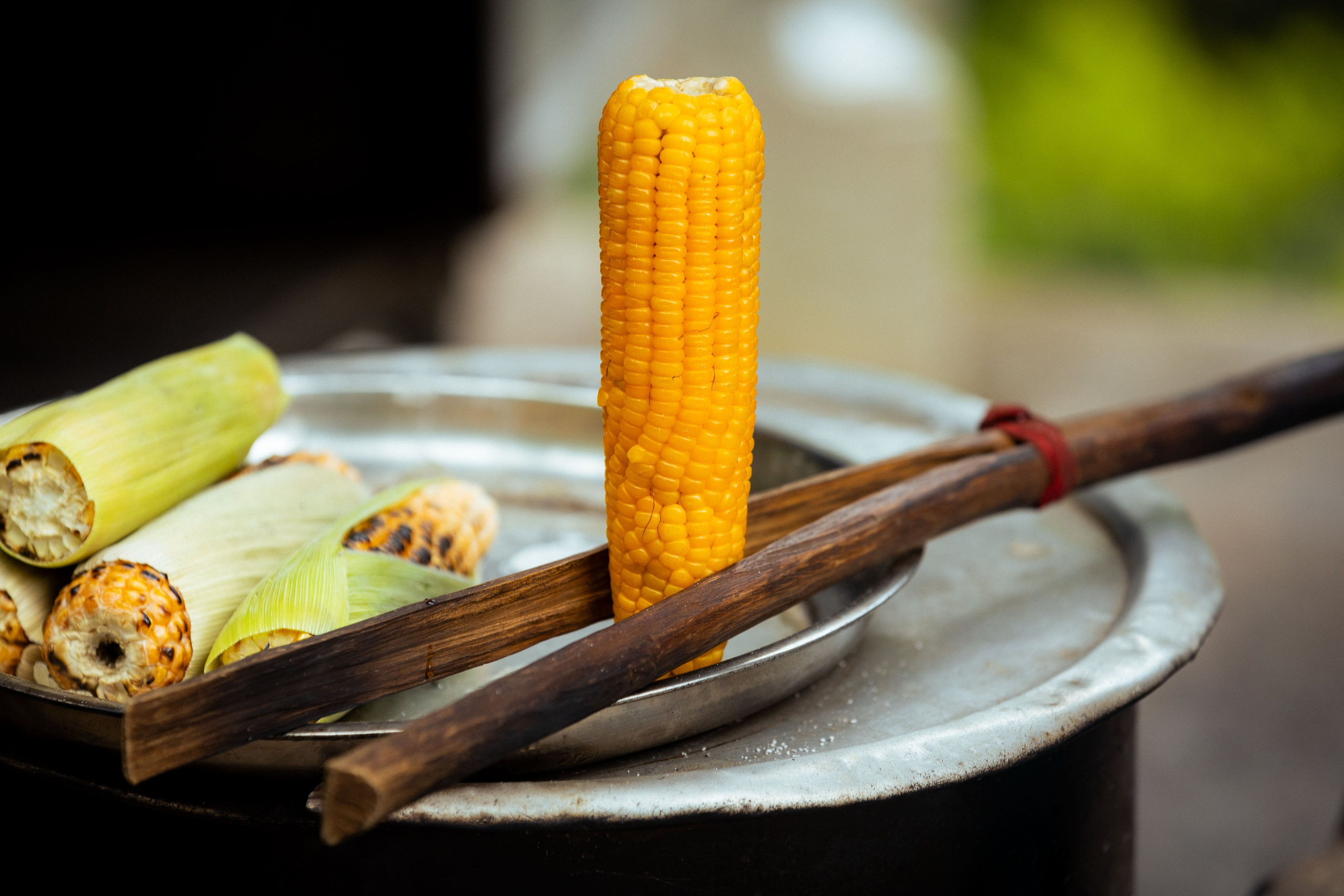 Шри-Ланка (весна 2024). Фотограф Виноградов Константин