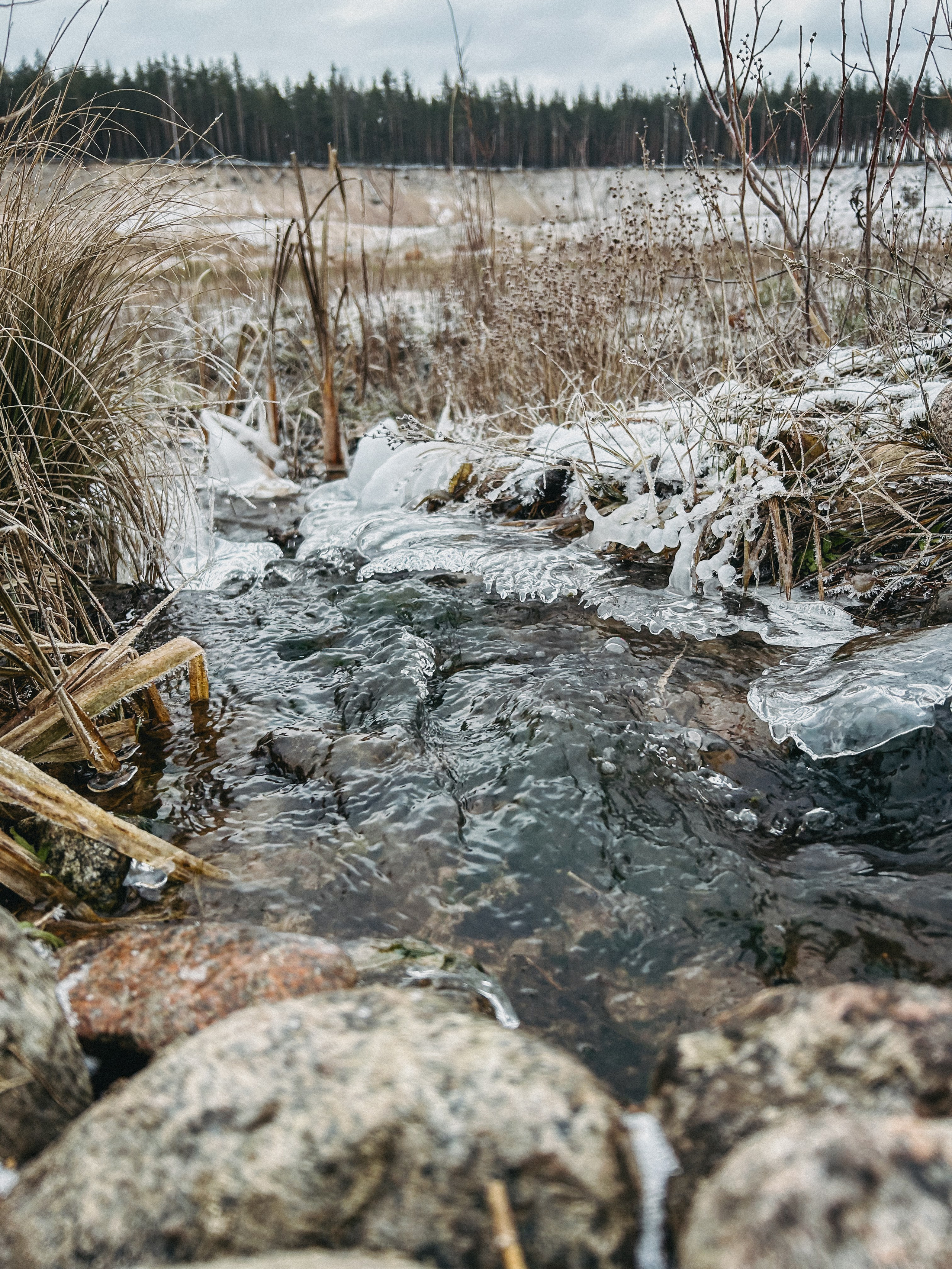 Природа. Фотокружок «Видоискатель» ГБОУ СОШ № 291
