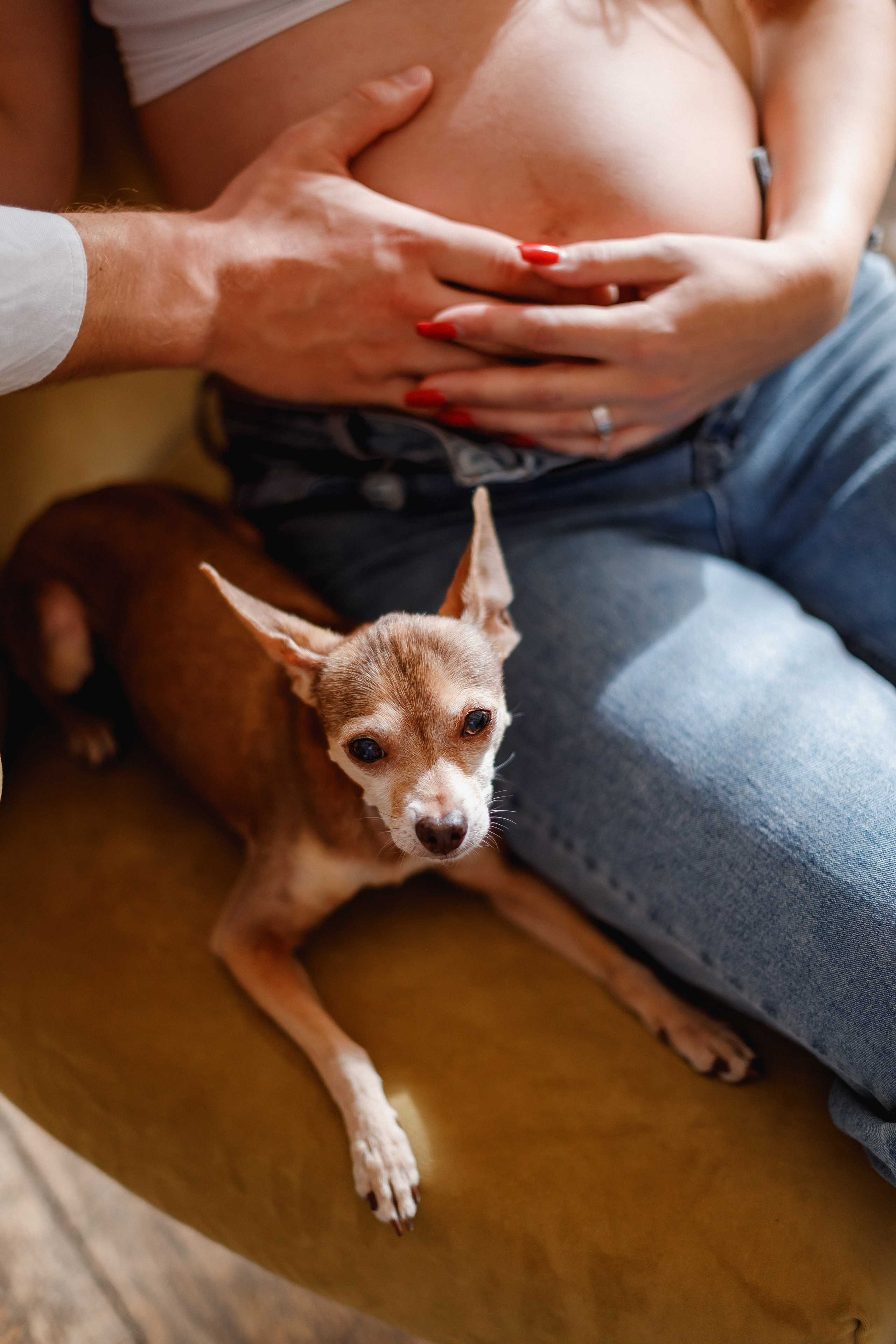 Оксана и Михаил. Ожидание малышки. Фотограф в Москве Базанова Дарья