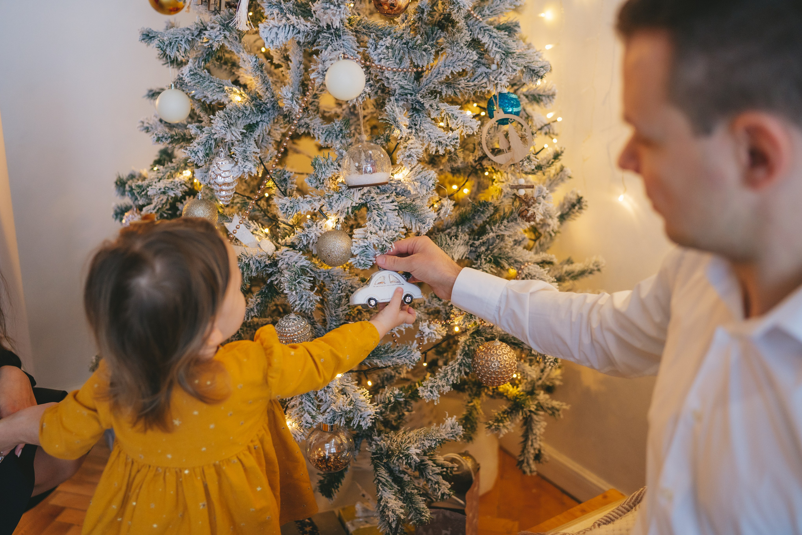 Семейная новогодняя съемка в студии. Фотограф Екатерина Канчалаба