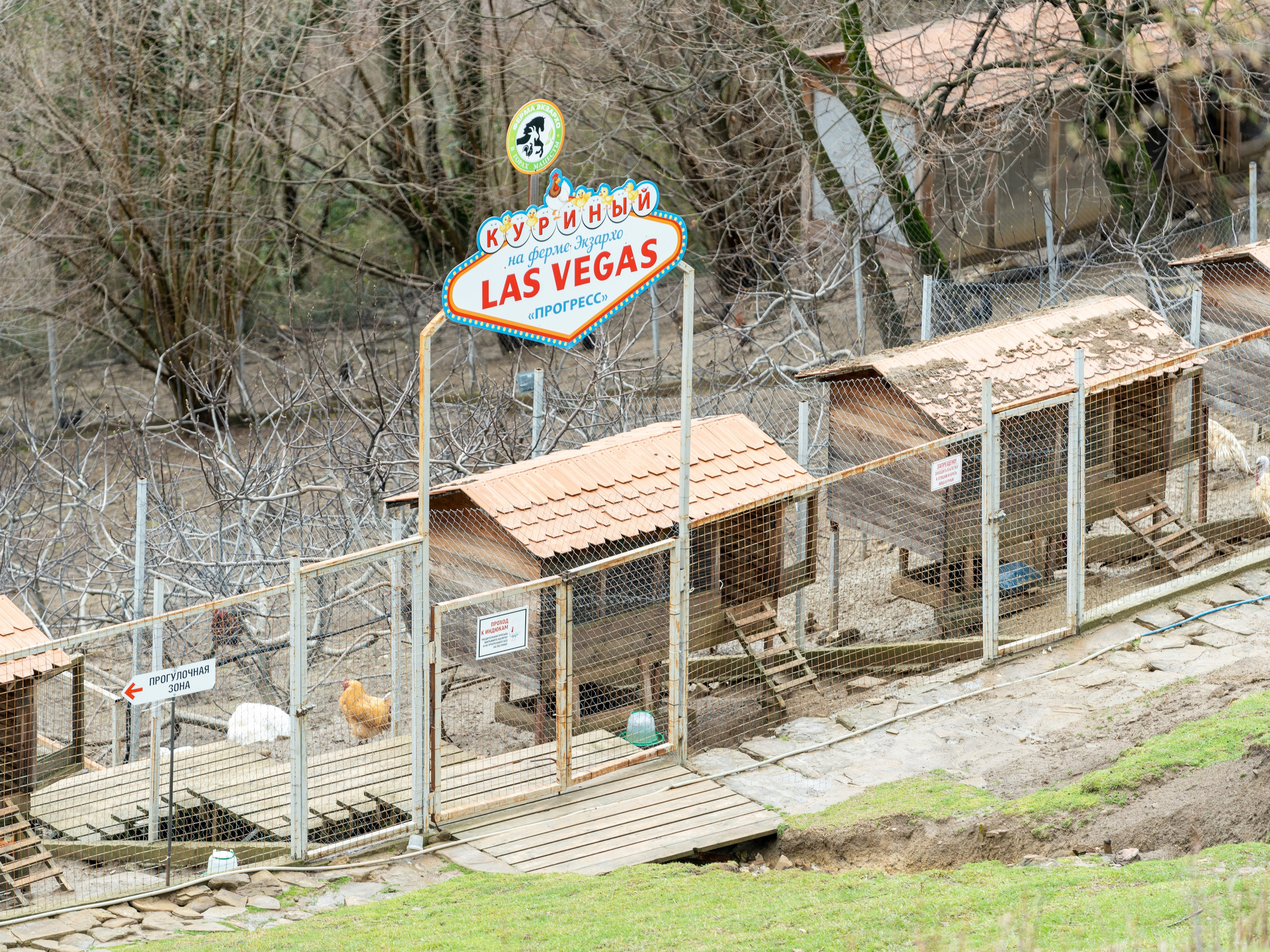 MICE мероприятие на ферме Экзархо. Репортажный фотограф в Красной Поляне и Сочи Павлюченко Екатерина