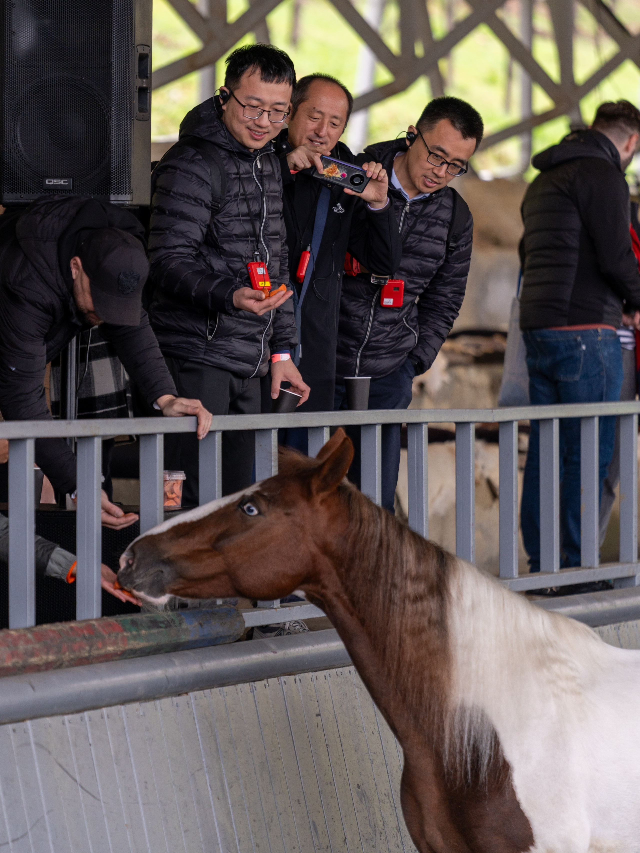 MICE мероприятие на ферме Экзархо. Репортажный фотограф в Красной Поляне и Сочи Павлюченко Екатерина