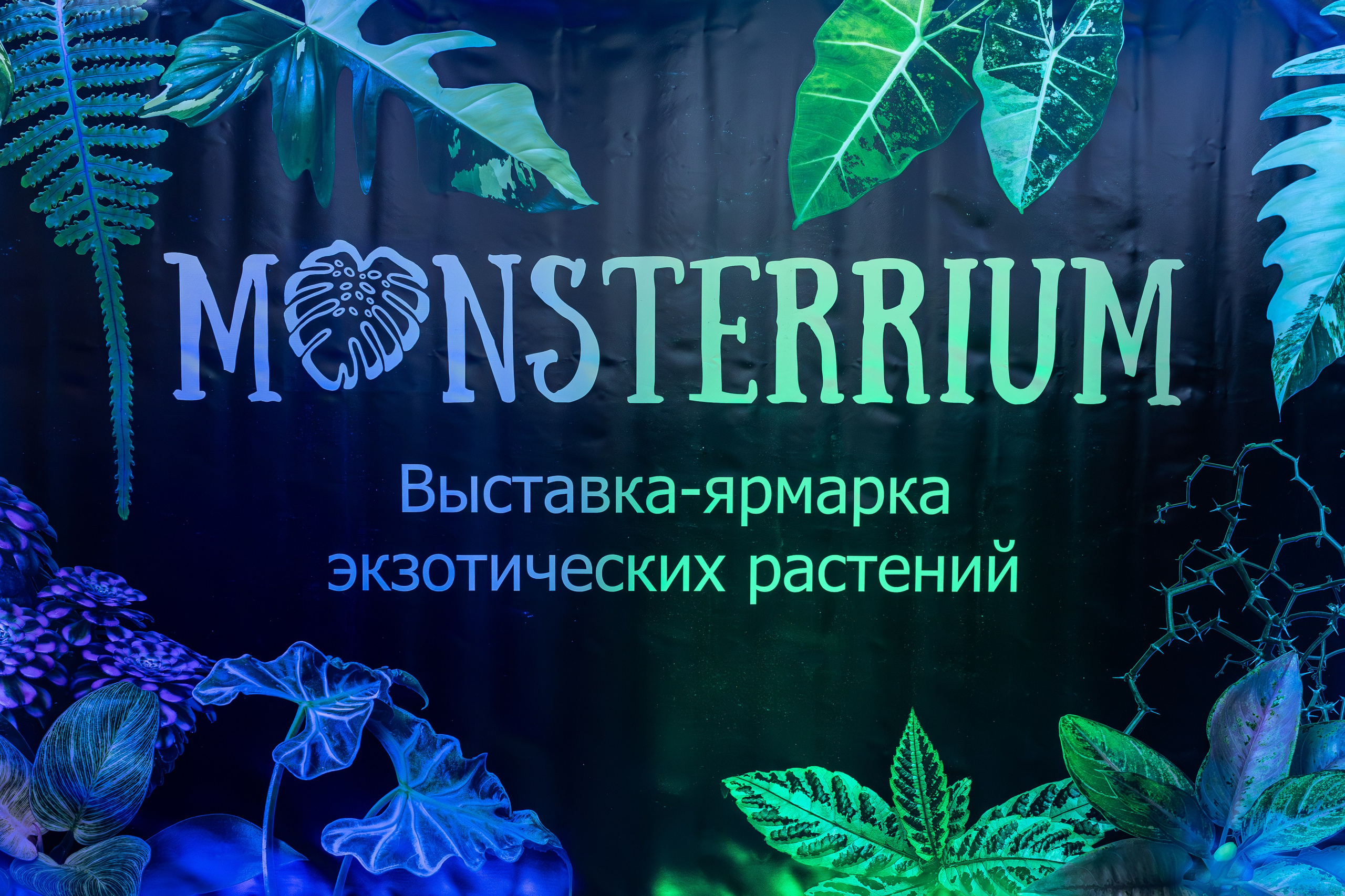 Монстериум 11–12 октября. Александра Куликова фотограф, Москва