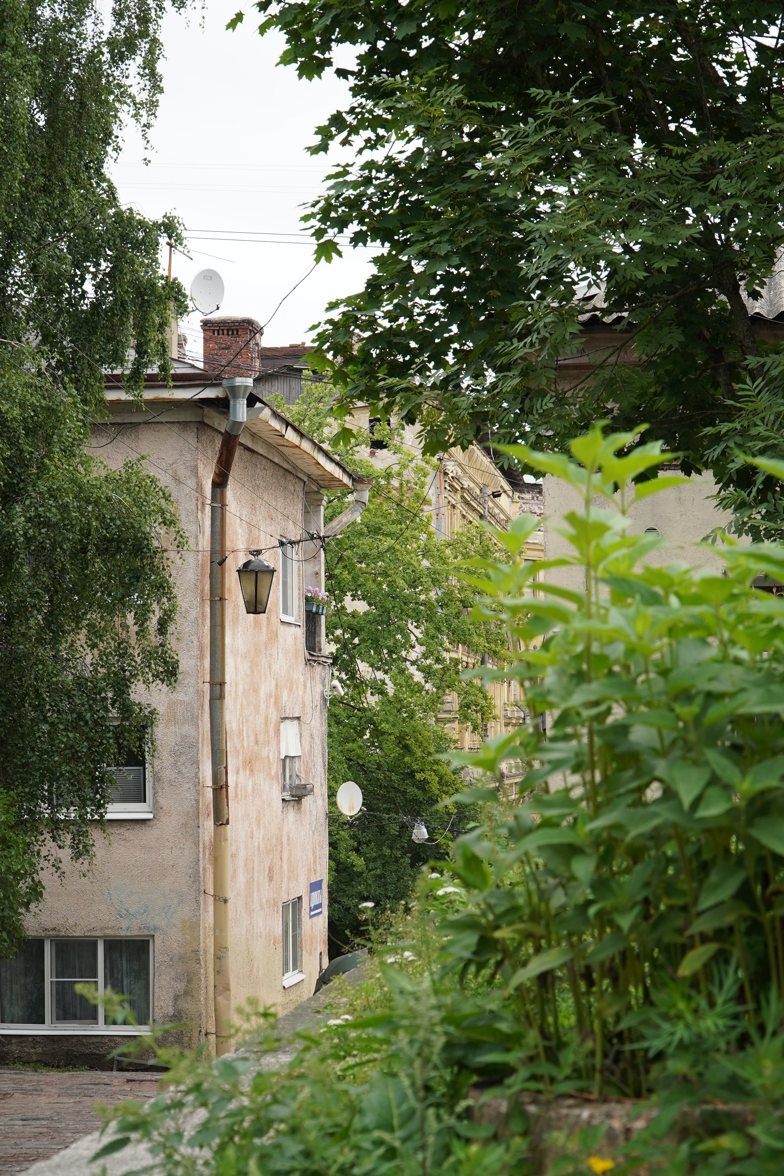 ВЫБОРГ. Июль 2024. Фотограф Наталья Погодина в г. Обнинске