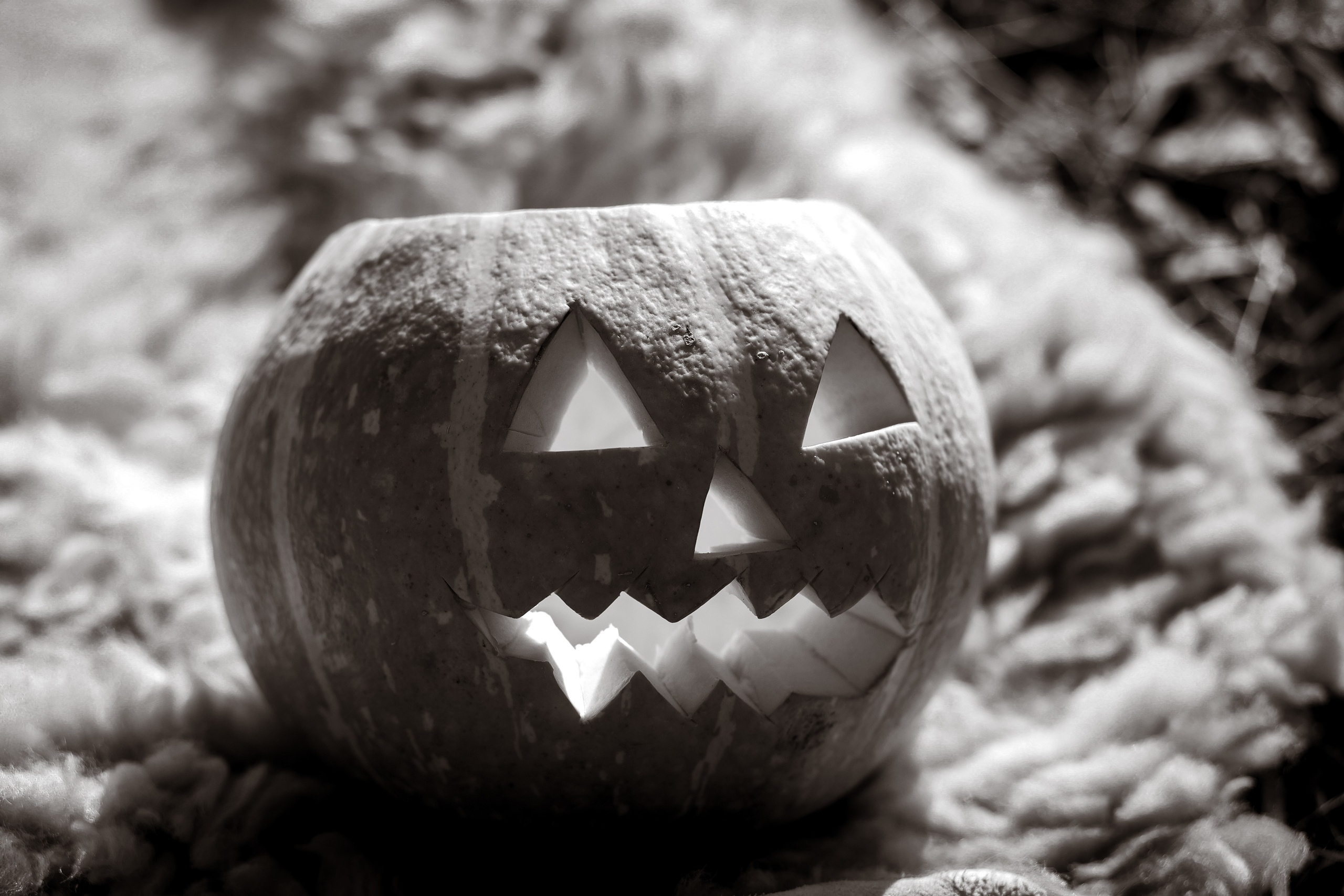 В ожидании Halloween. Art my Pho