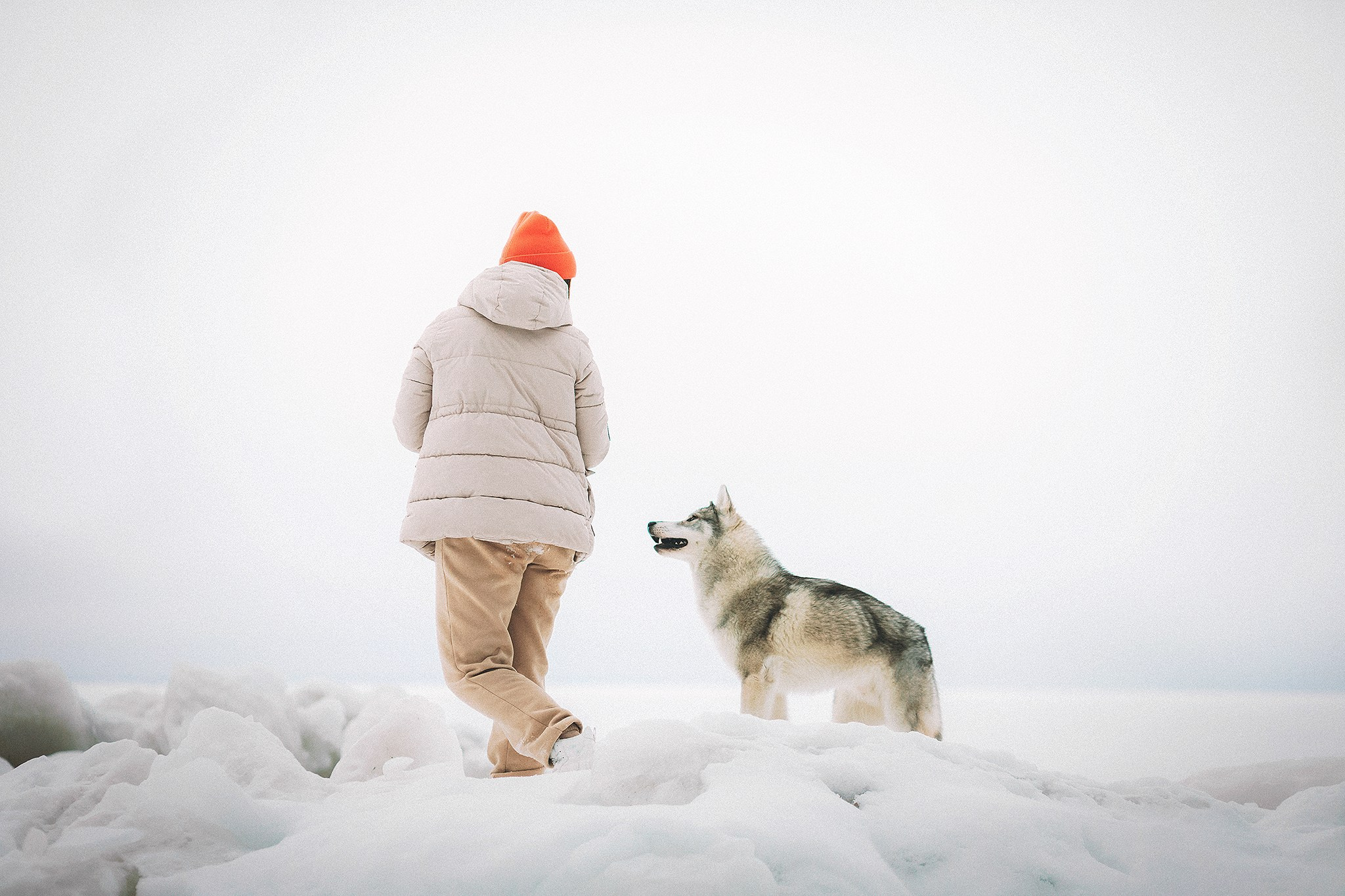 Даймонд и Настя. Фотограф-анималист • love-story • Санкт-Петербург