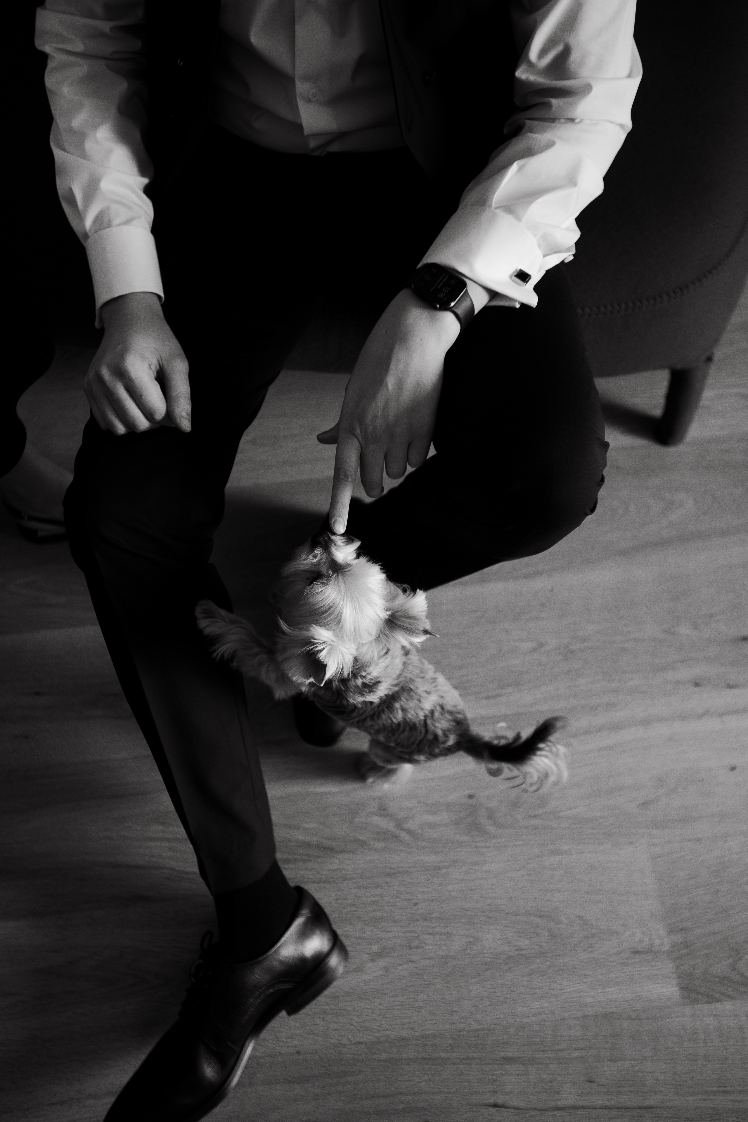 Кристина|Денис. Свадебный фотограф Таня Караисаева