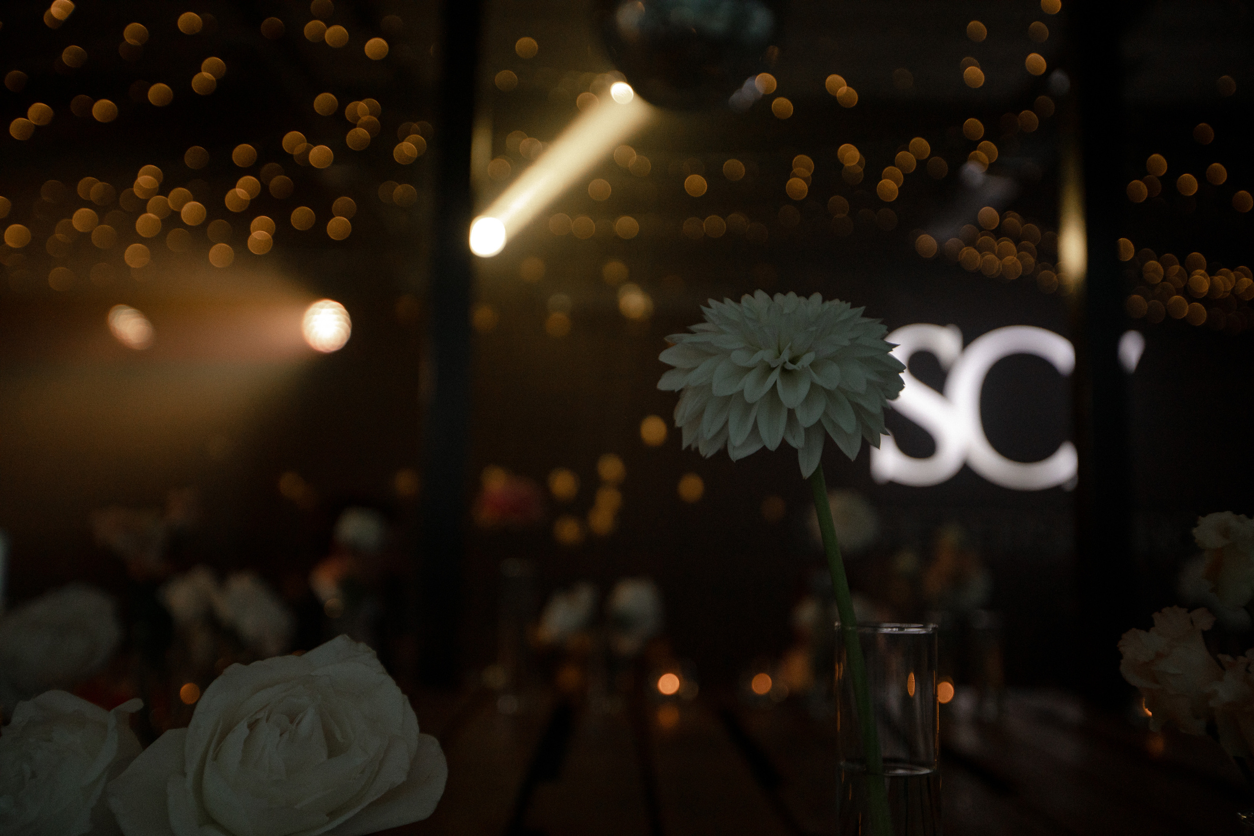 Кристина|Денис. Свадебный фотограф Таня Караисаева