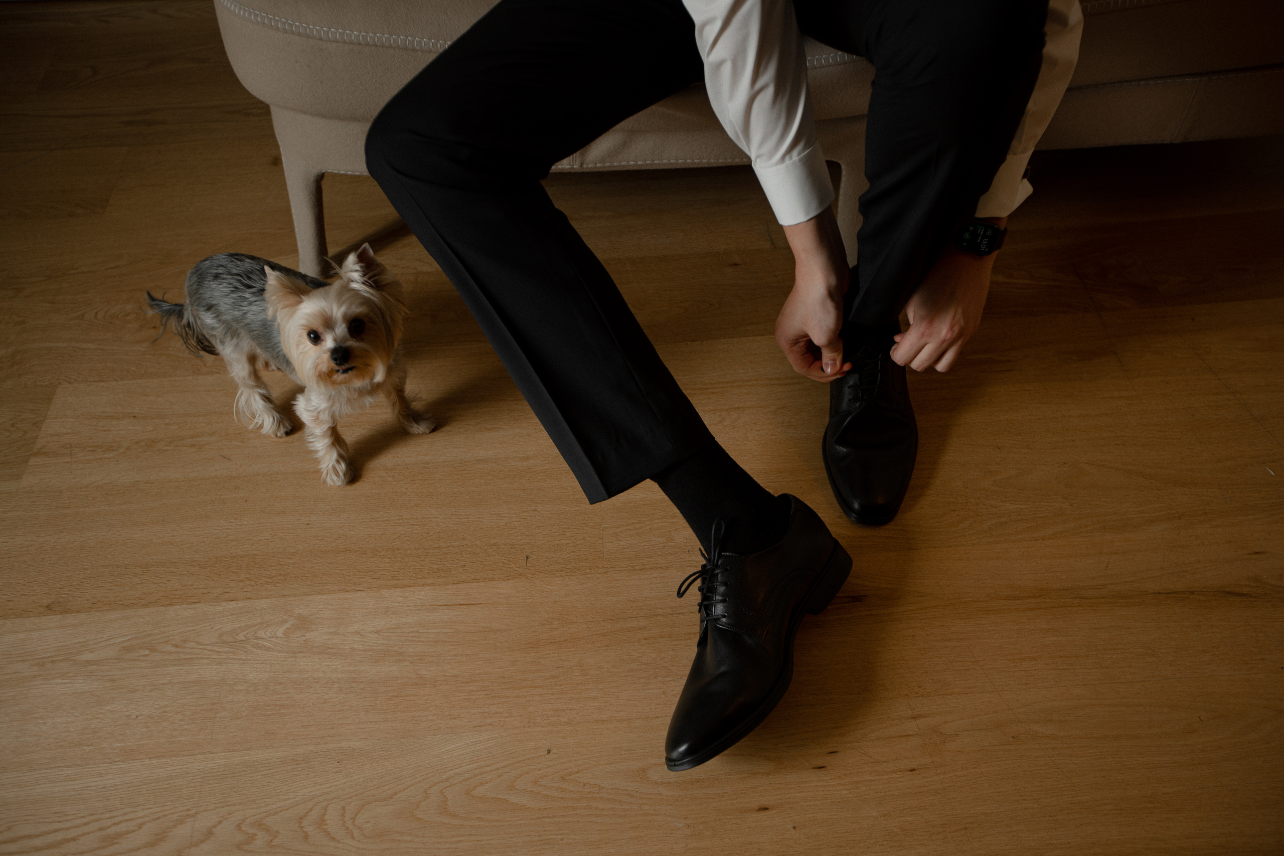 Кристина|Денис. Свадебный фотограф Таня Караисаева