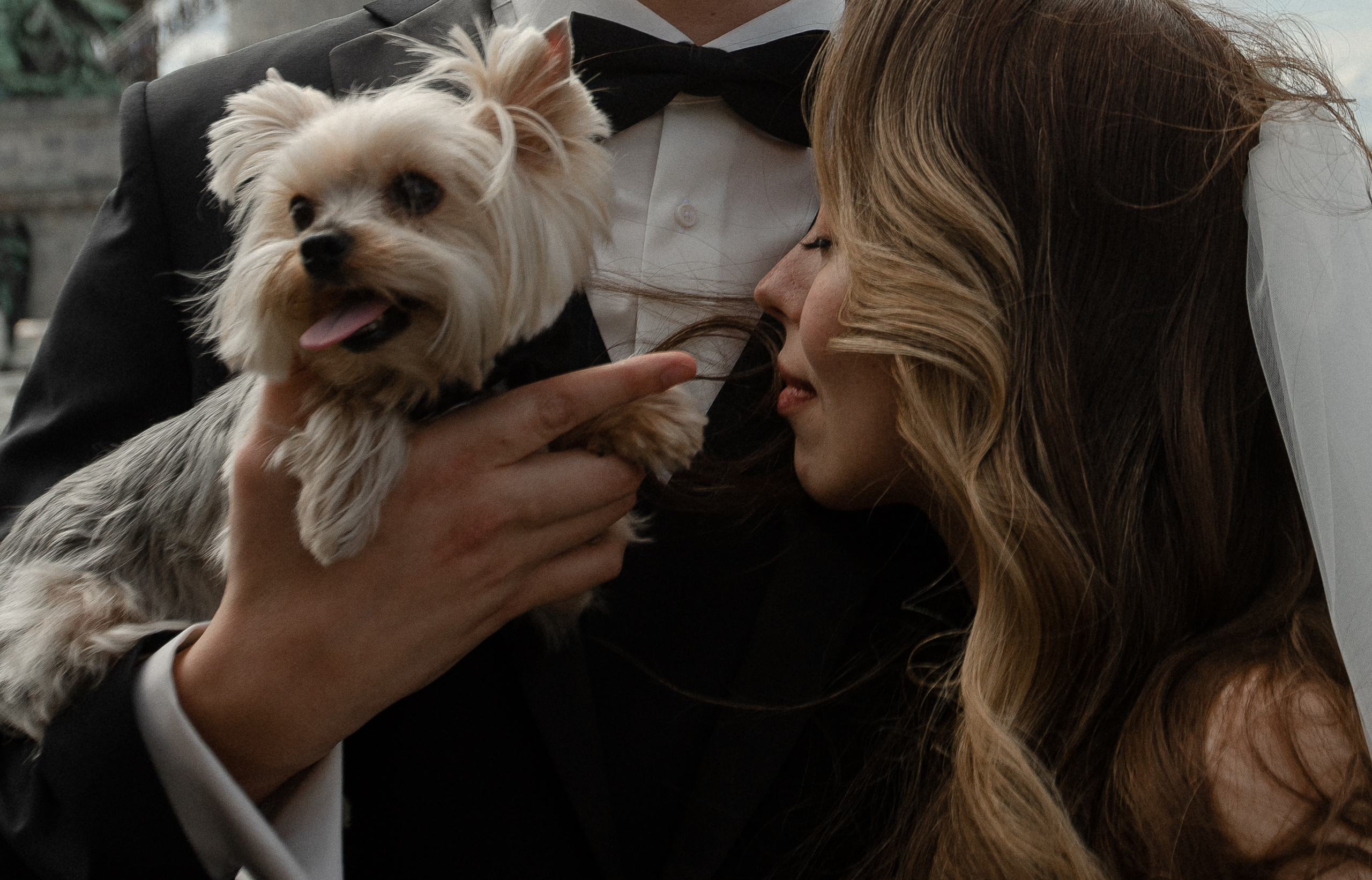 Кристина|Денис. Свадебный фотограф Таня Караисаева