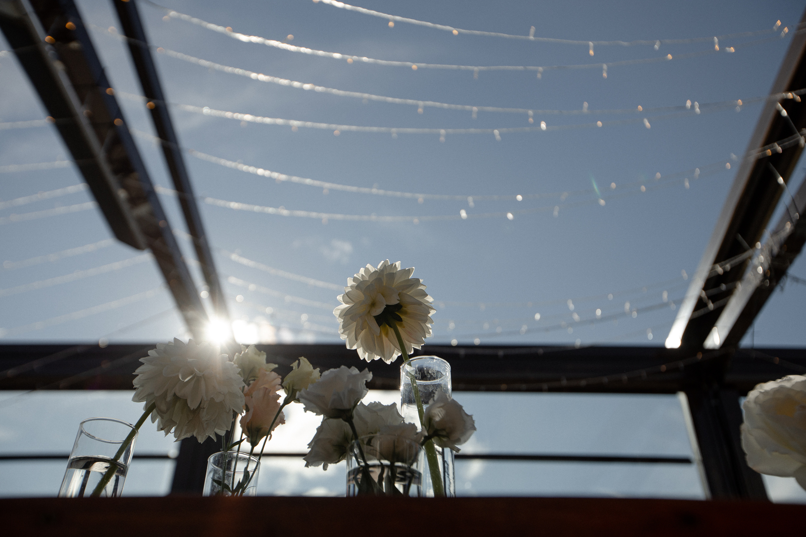 Кристина|Денис. Свадебный фотограф Таня Караисаева