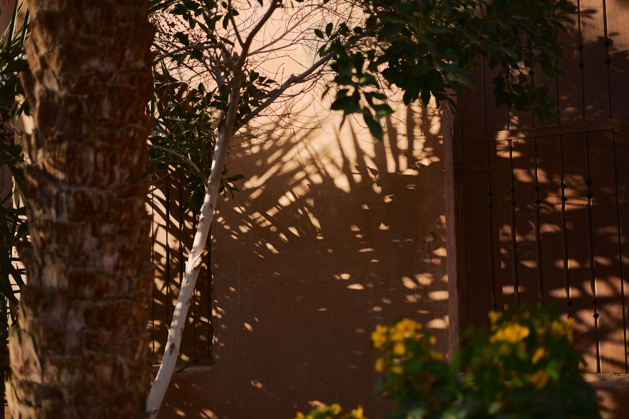 Другое 2. Jorgis Talè — photographer, kind person, teacher of arts and other mag