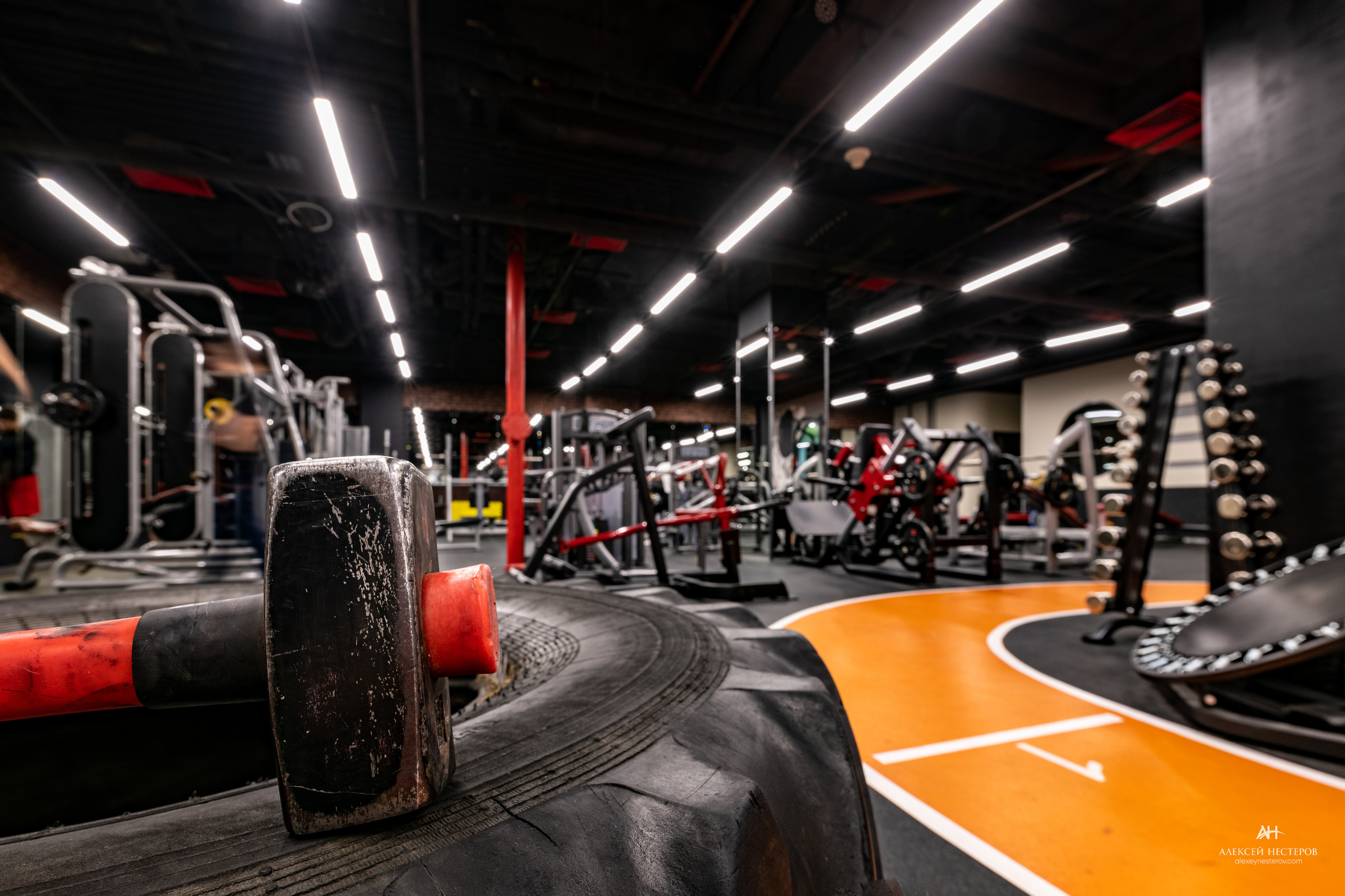 Тренажерные залы. Спортивный фитнес фотограф Алексей Нестеров