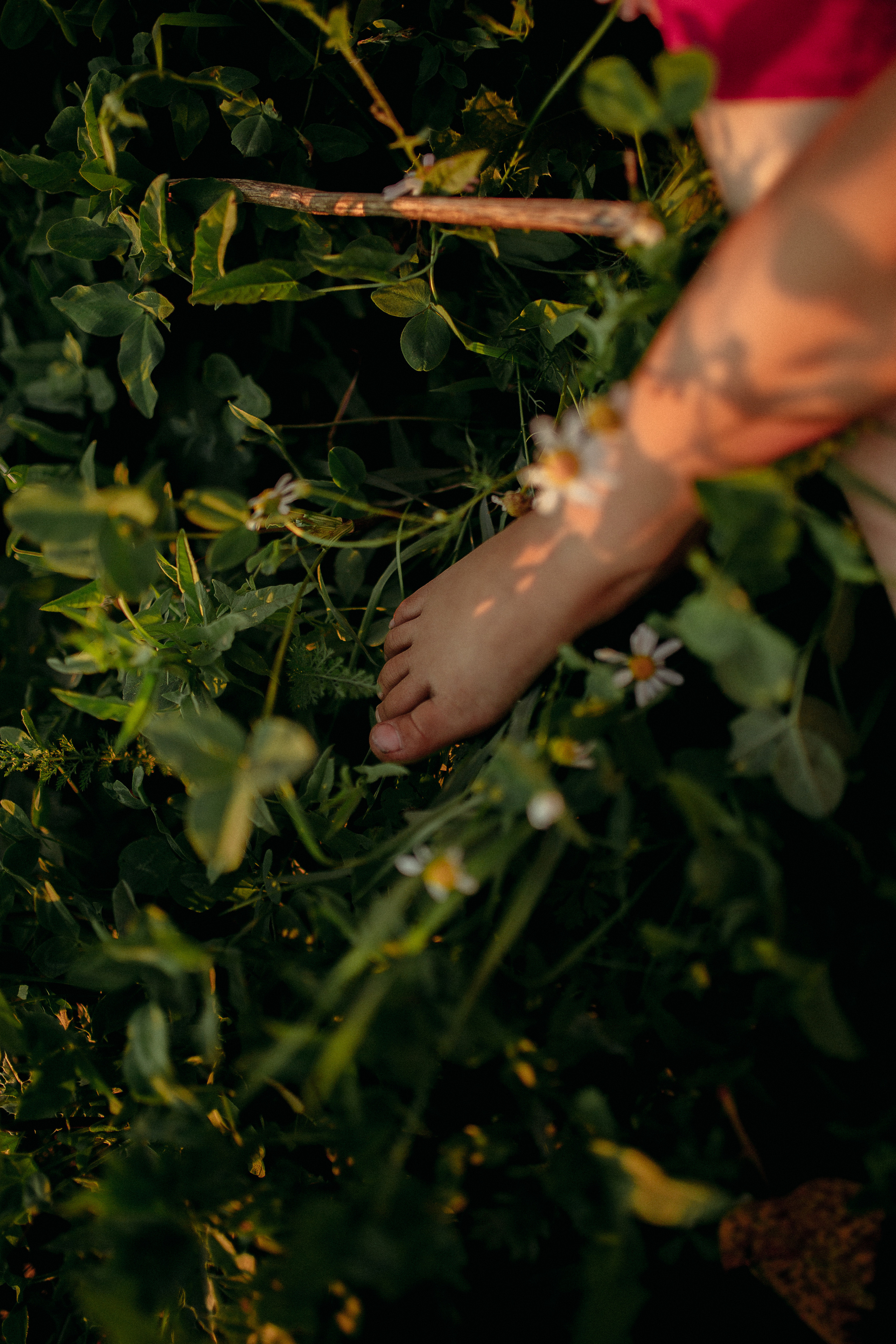 Аврора Алина и Костя. Семейный и домашний фотограф в Уфе Ирина Гарасюта