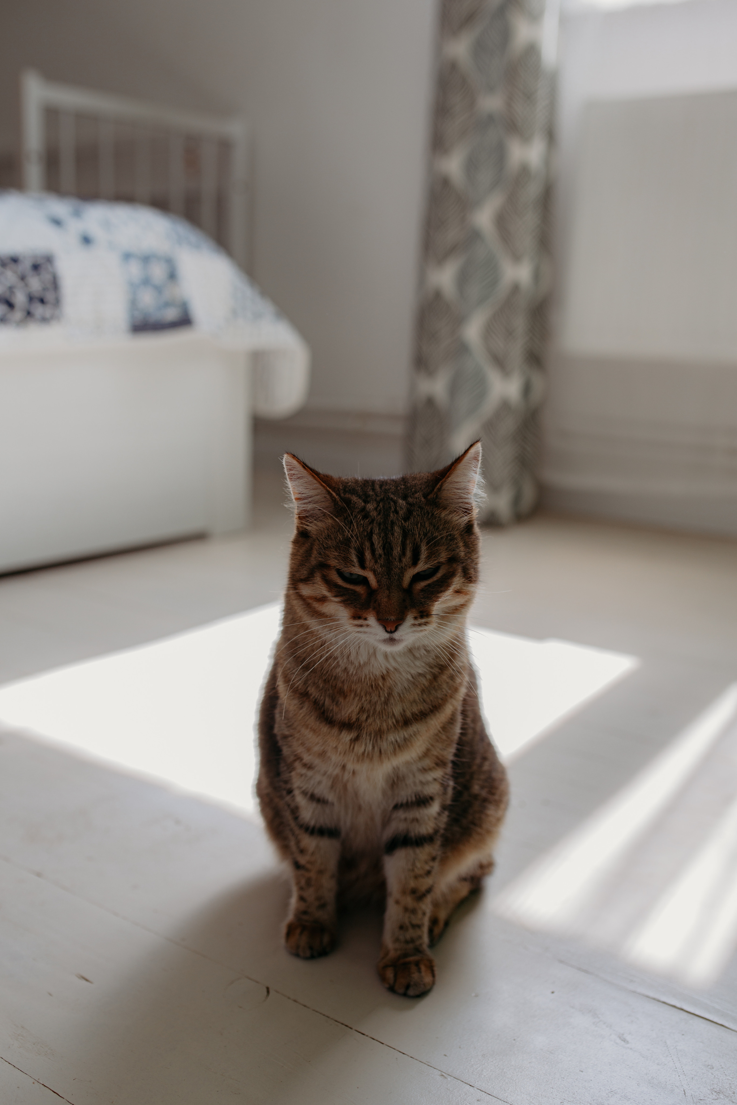 Домашняя: Майкл Лира и Розали. Семейный и домашний фотограф в Уфе Ирина Гарасюта