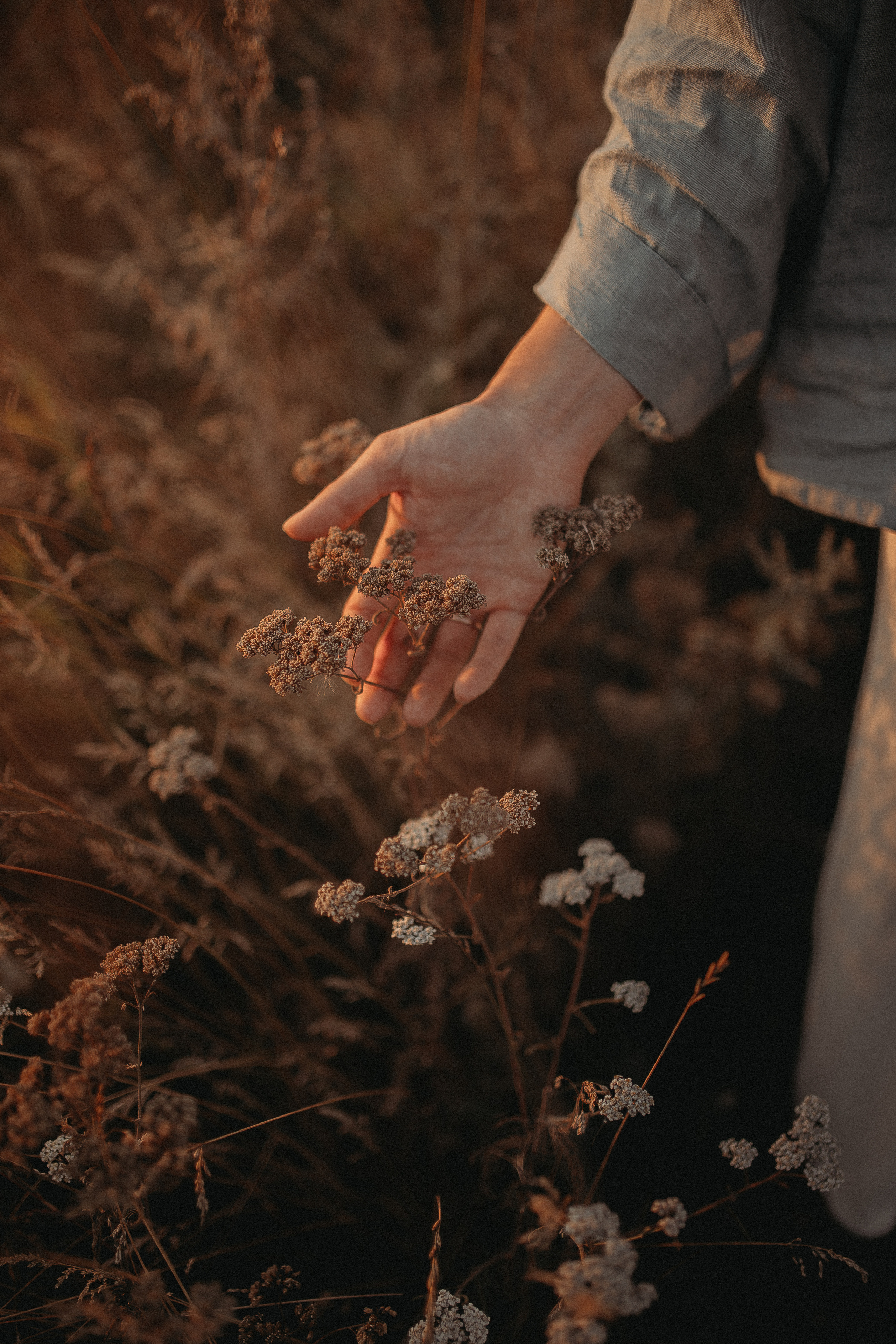 Семейная закатная. Семейный и домашний фотограф в Уфе Ирина Гарасюта