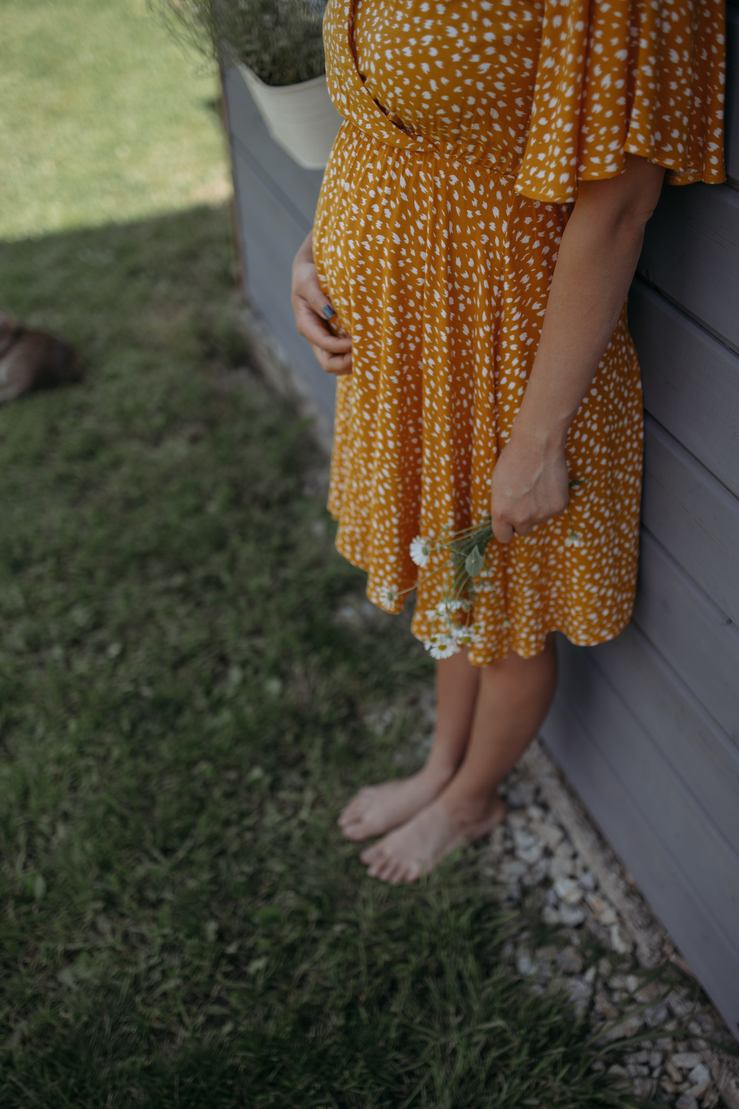 Домашняя: Майкл Лира и Розали. Семейный и домашний фотограф в Уфе Ирина Гарасюта