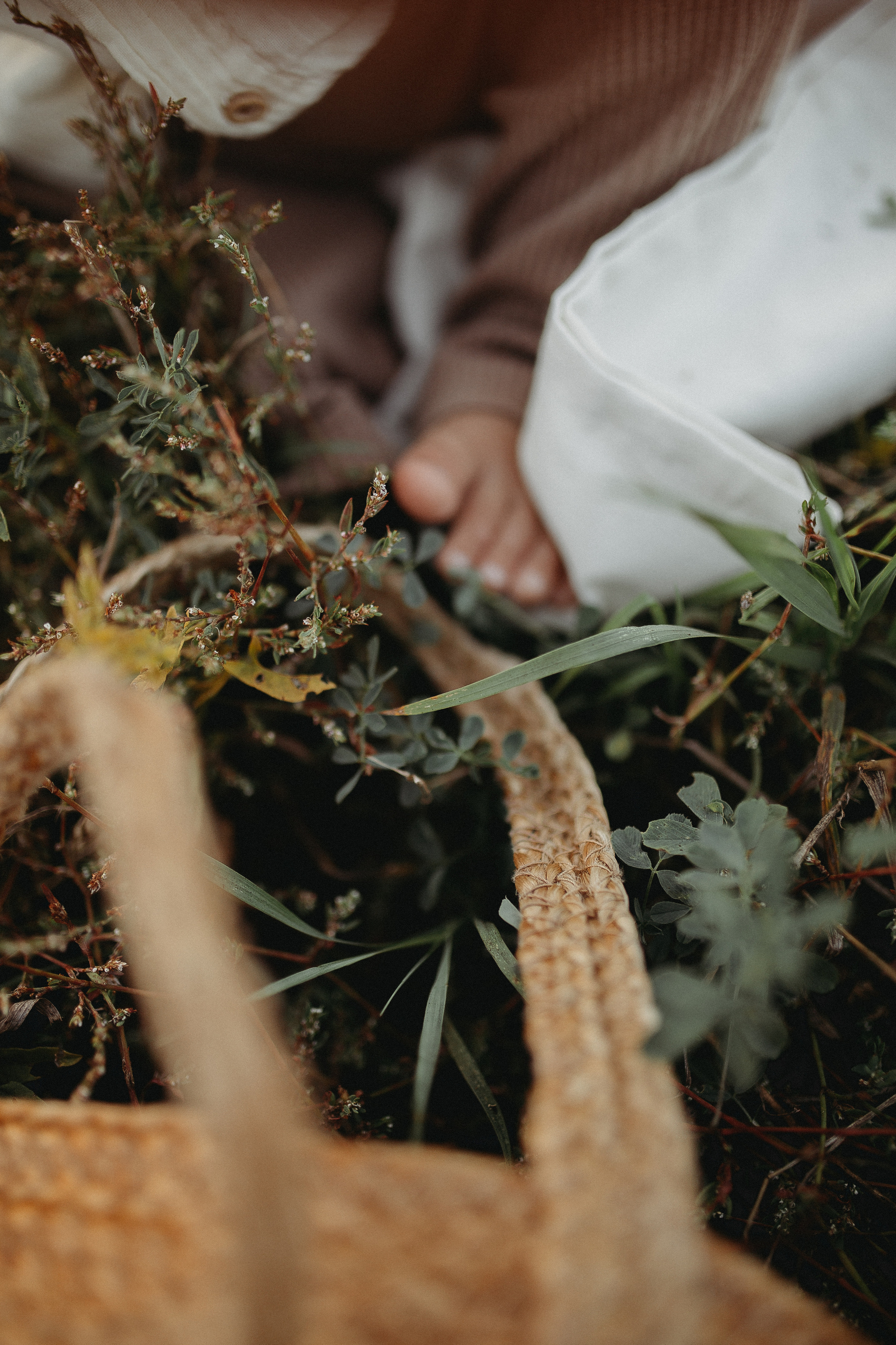 Семейная закатная. Семейный и домашний фотограф в Уфе Ирина Гарасюта