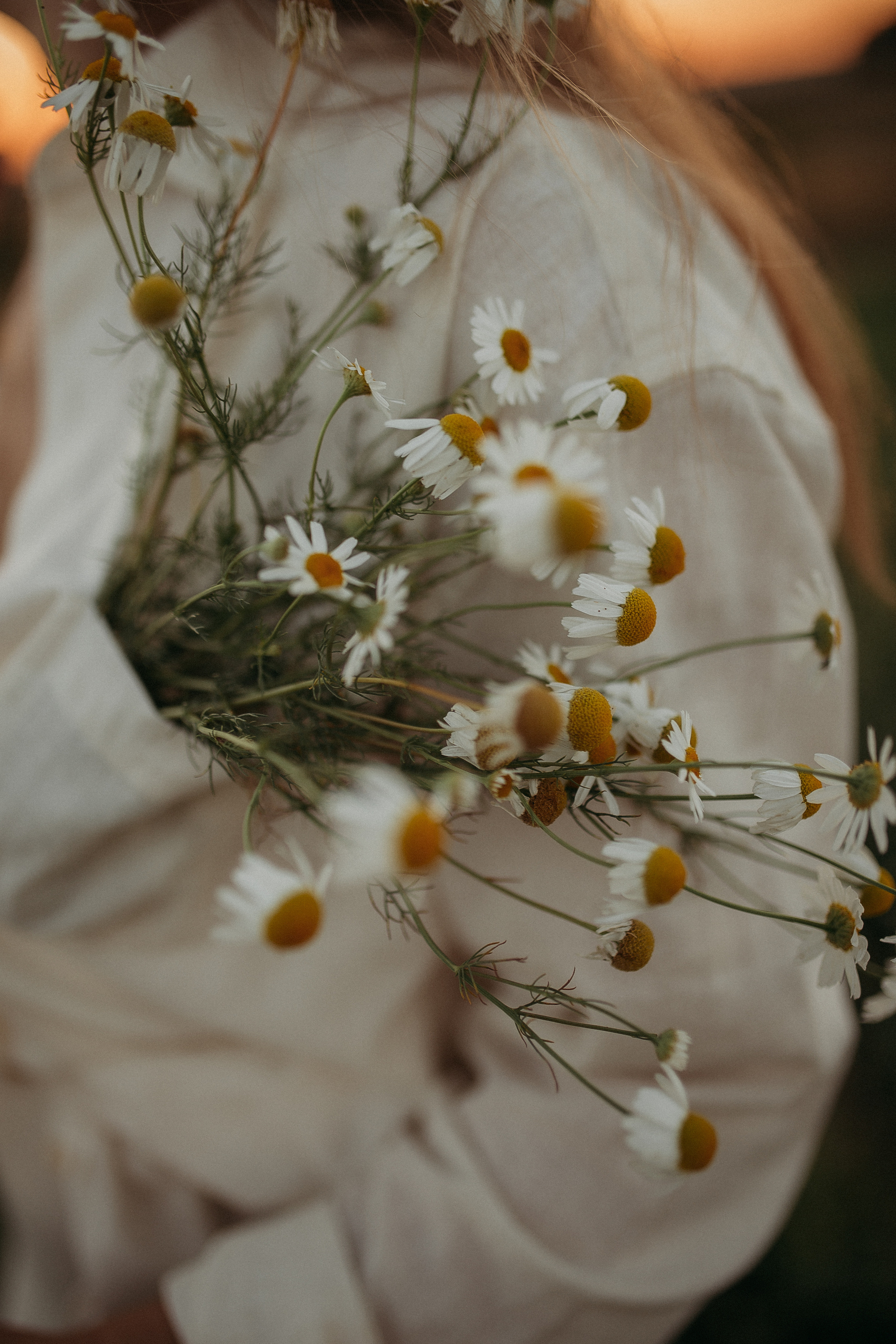 Семейная закатная. Семейный и домашний фотограф в Уфе Ирина Гарасюта