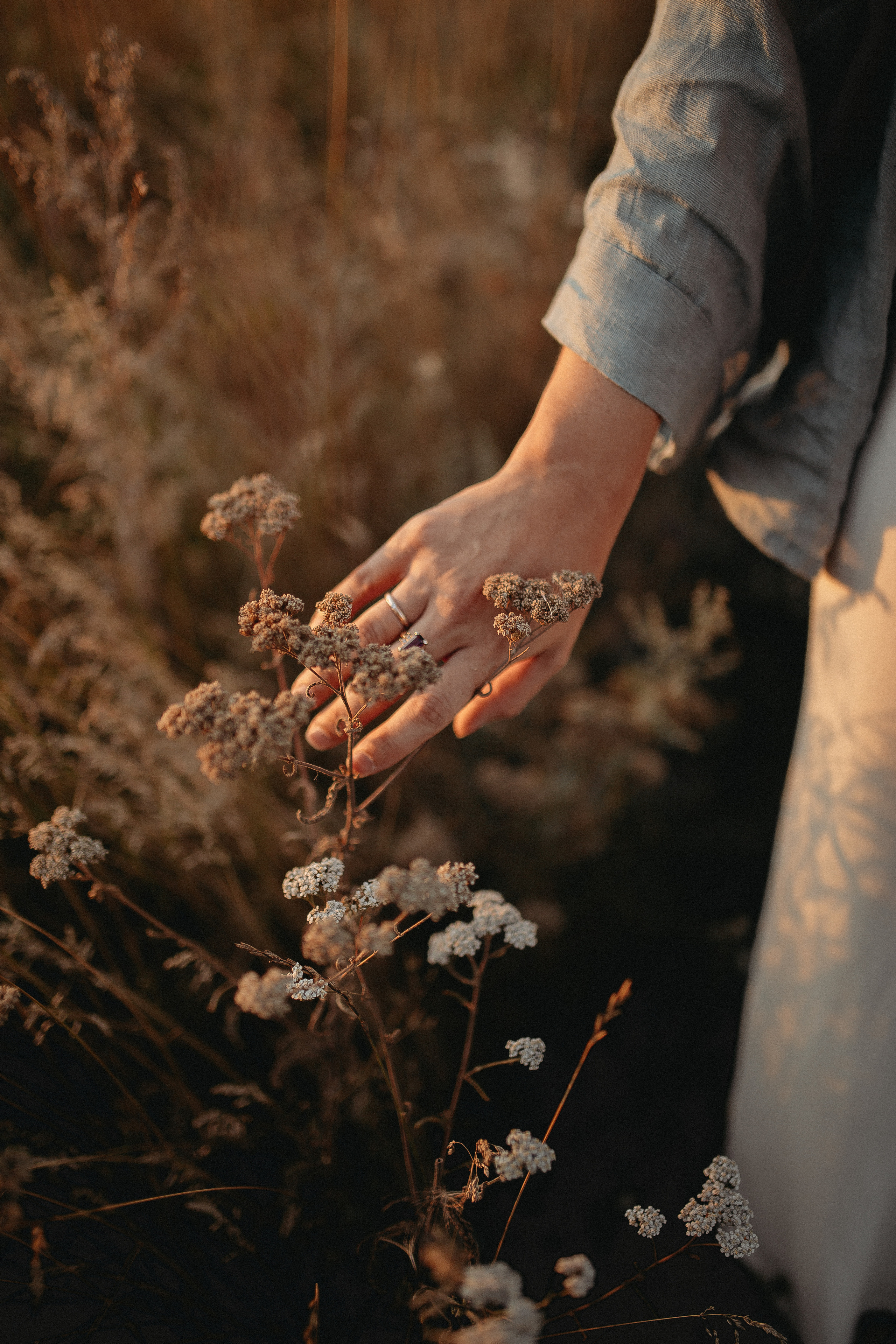 Семейная закатная. Семейный и домашний фотограф в Уфе Ирина Гарасюта
