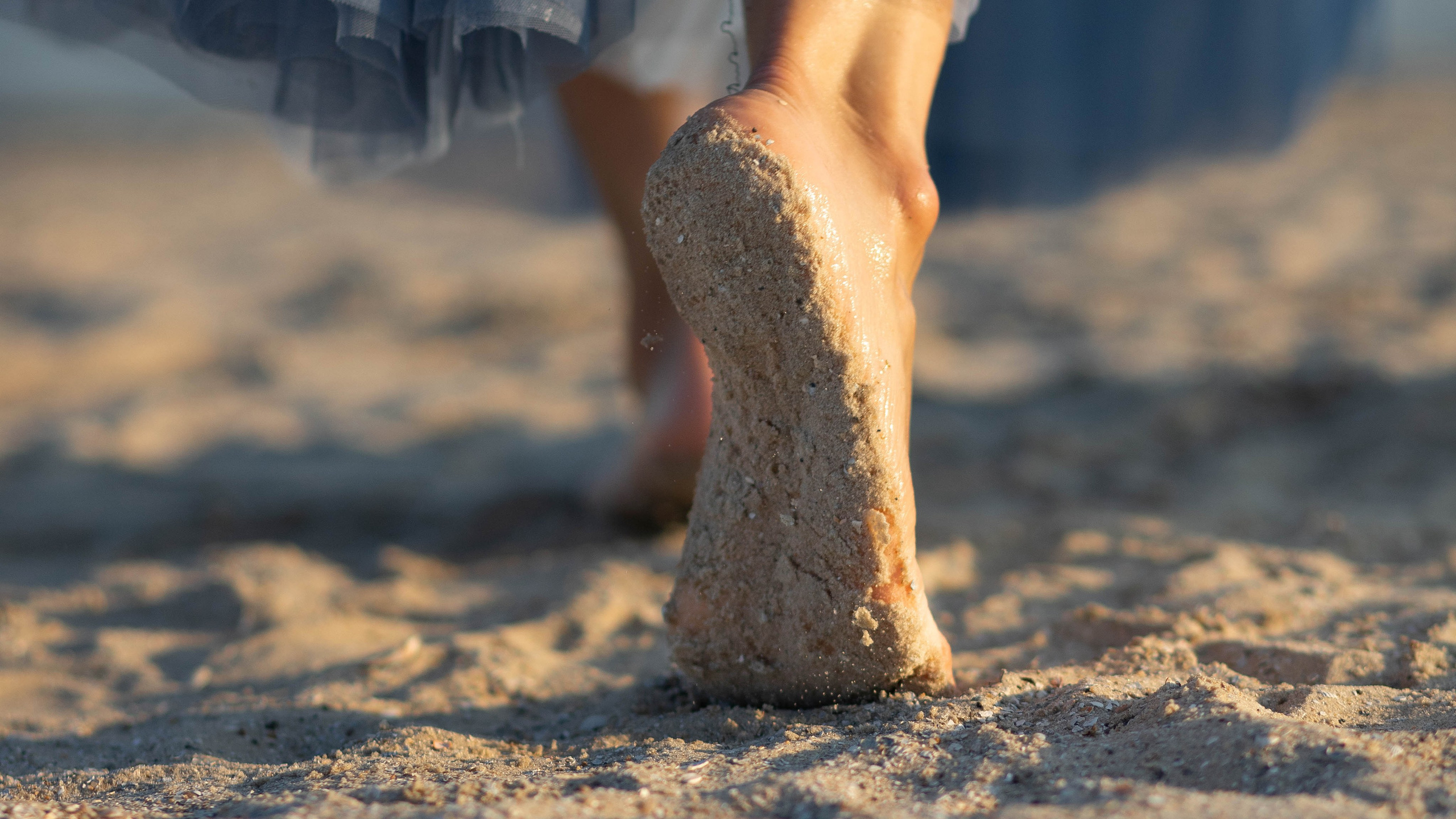 Анастасия на закате дня. Нечехова Виктория